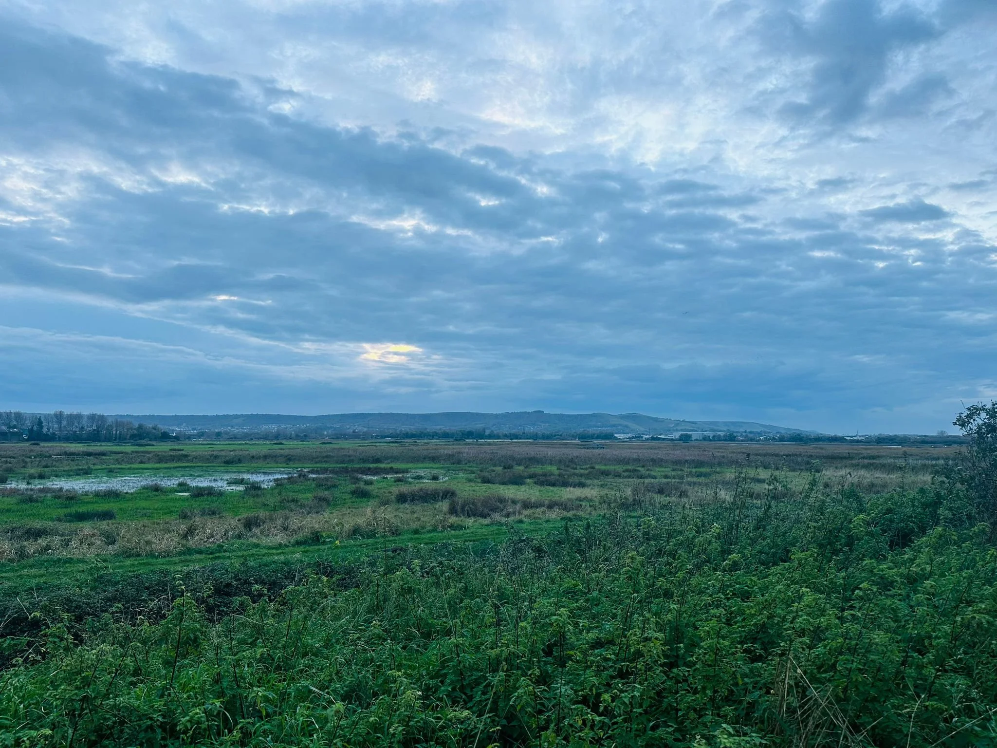 WhatsApp Image 2024-10-16 at 18.50.09.jpeg