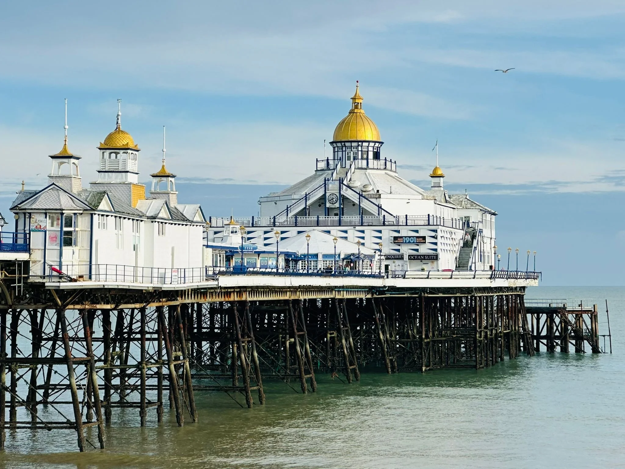 WhatsApp Image 2024-10-18 at 18.07.55.jpeg