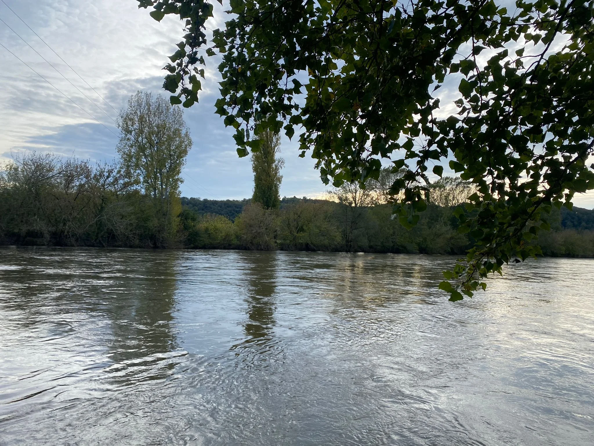 WhatsApp Image 2024-10-20 at 17.39.09.jpeg