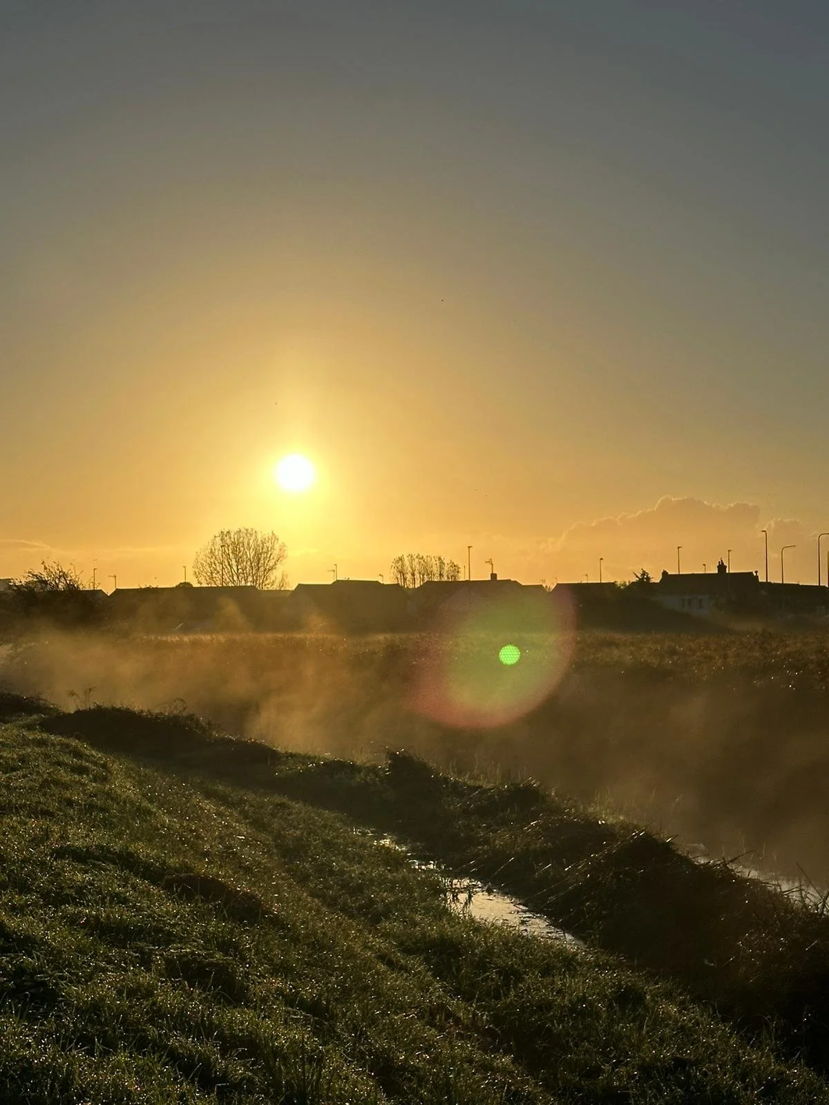 WhatsApp Image 2024-10-22 at 08.11.18.jpeg