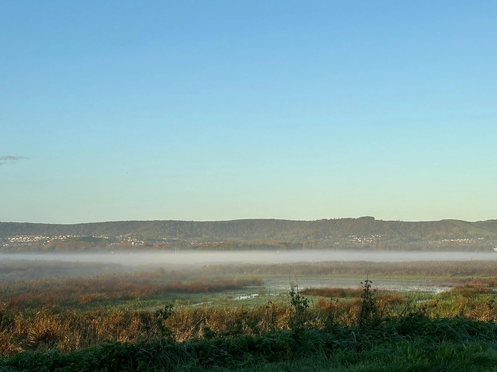 WhatsApp Image 2024-10-22 at 08.11.21 (1).jpeg