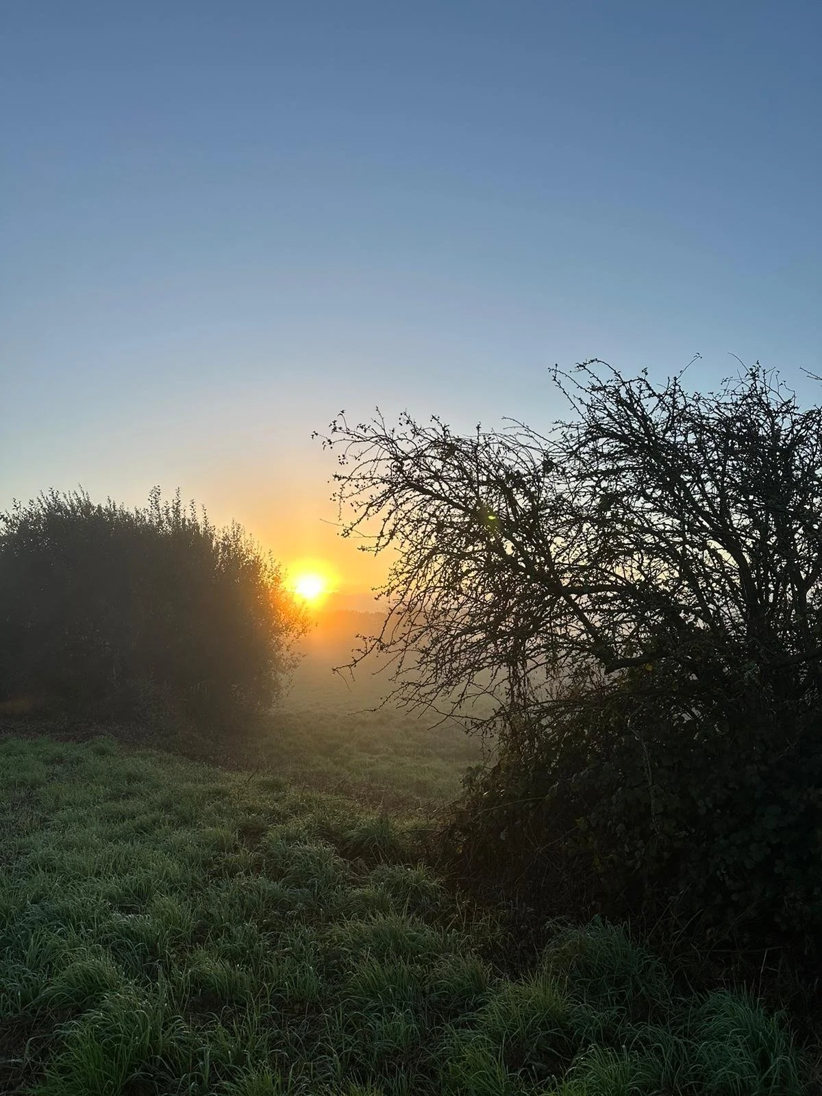 WhatsApp Image 2024-10-22 at 08.11.21 (2).jpeg