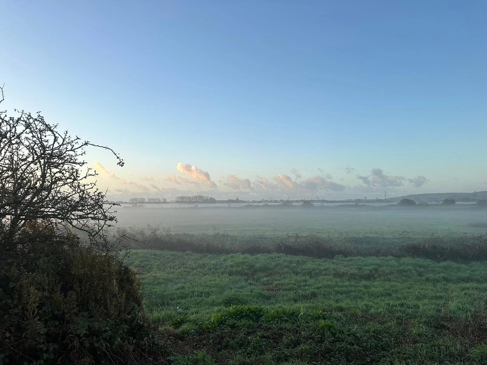 WhatsApp Image 2024-10-22 at 08.11.21.jpeg