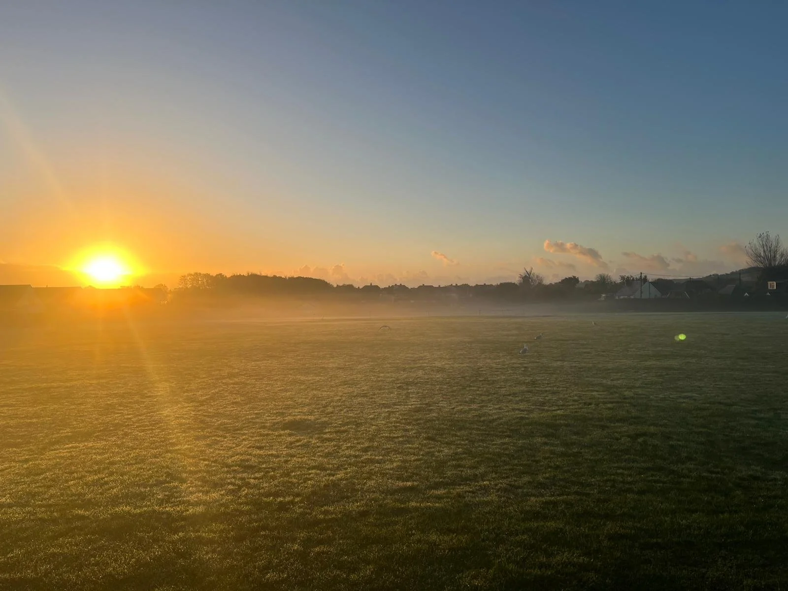 WhatsApp Image 2024-10-22 at 08.12.48.jpeg