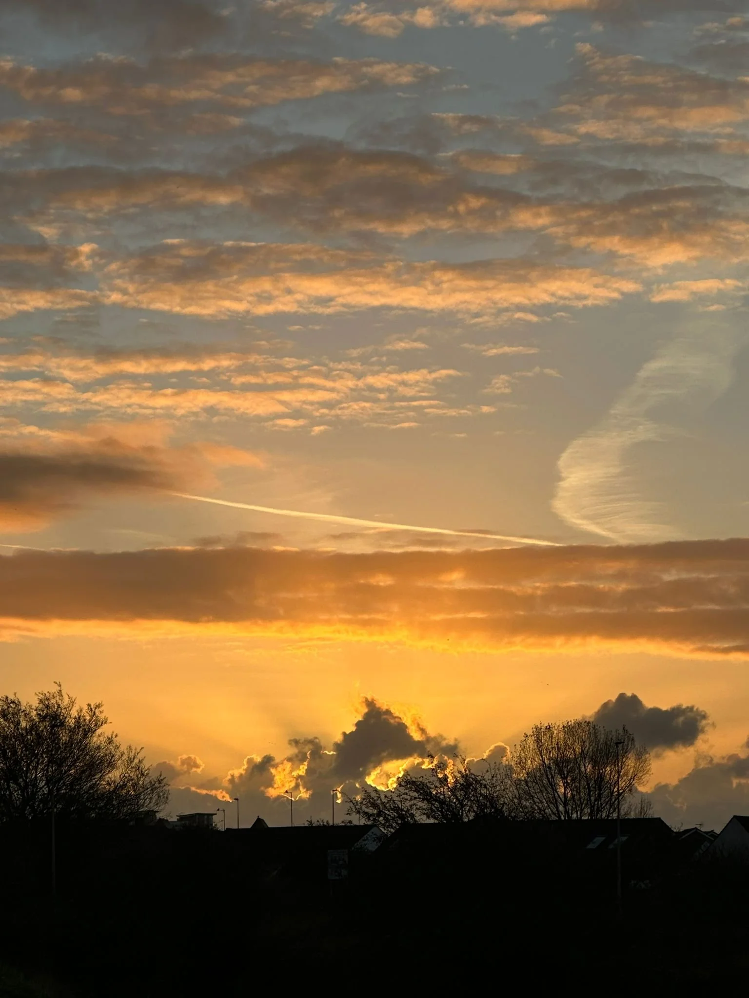 WhatsApp Image 2024-10-23 at 19.22.36.jpeg