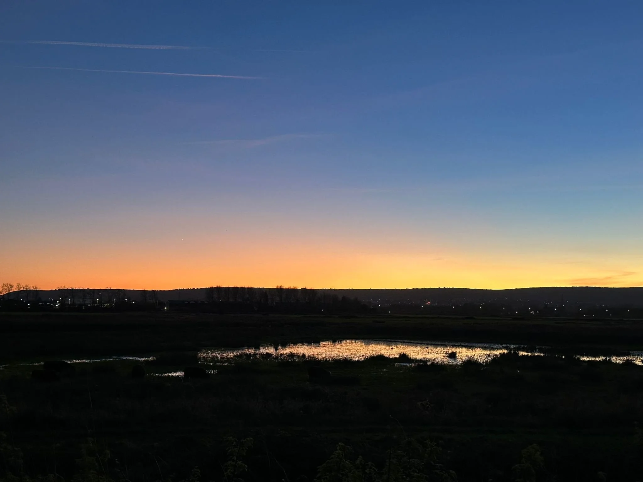 WhatsApp Image 2024-10-23 at 19.22.49.jpeg