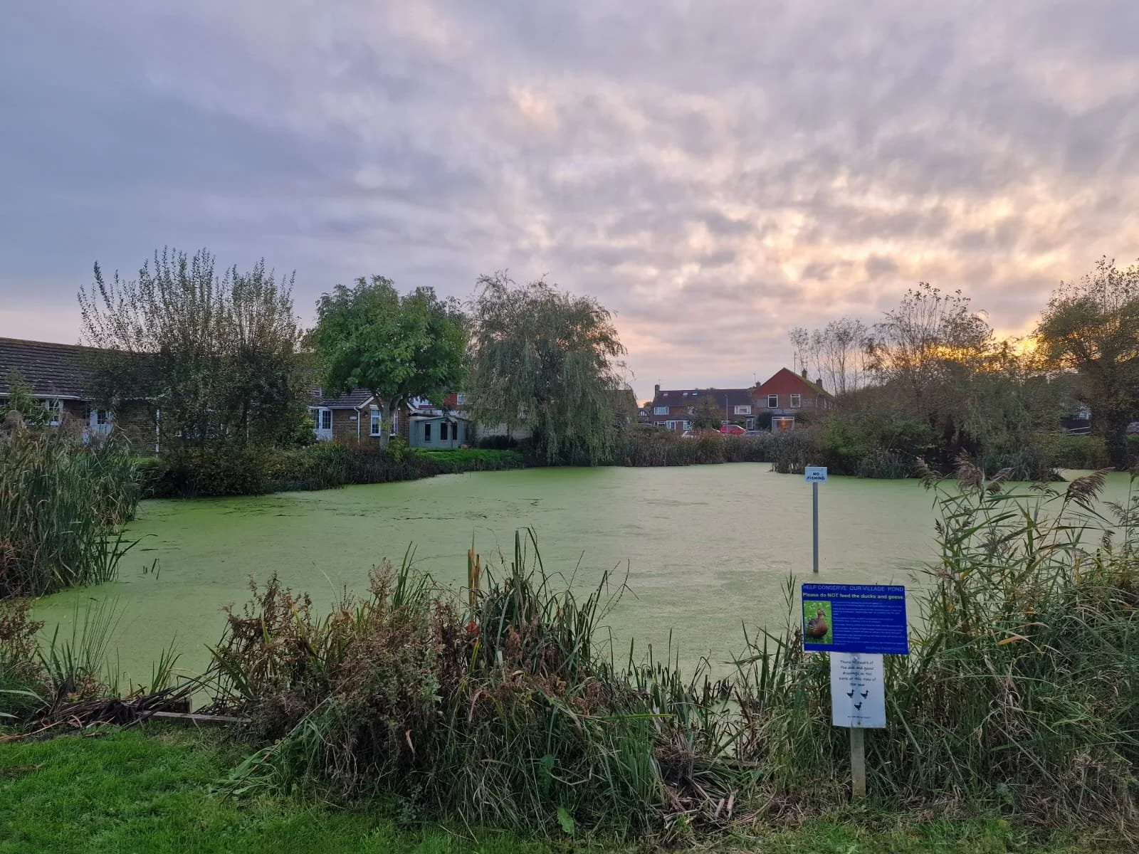 WhatsApp Image 2024-10-26 at 13.32.25 (1).jpeg