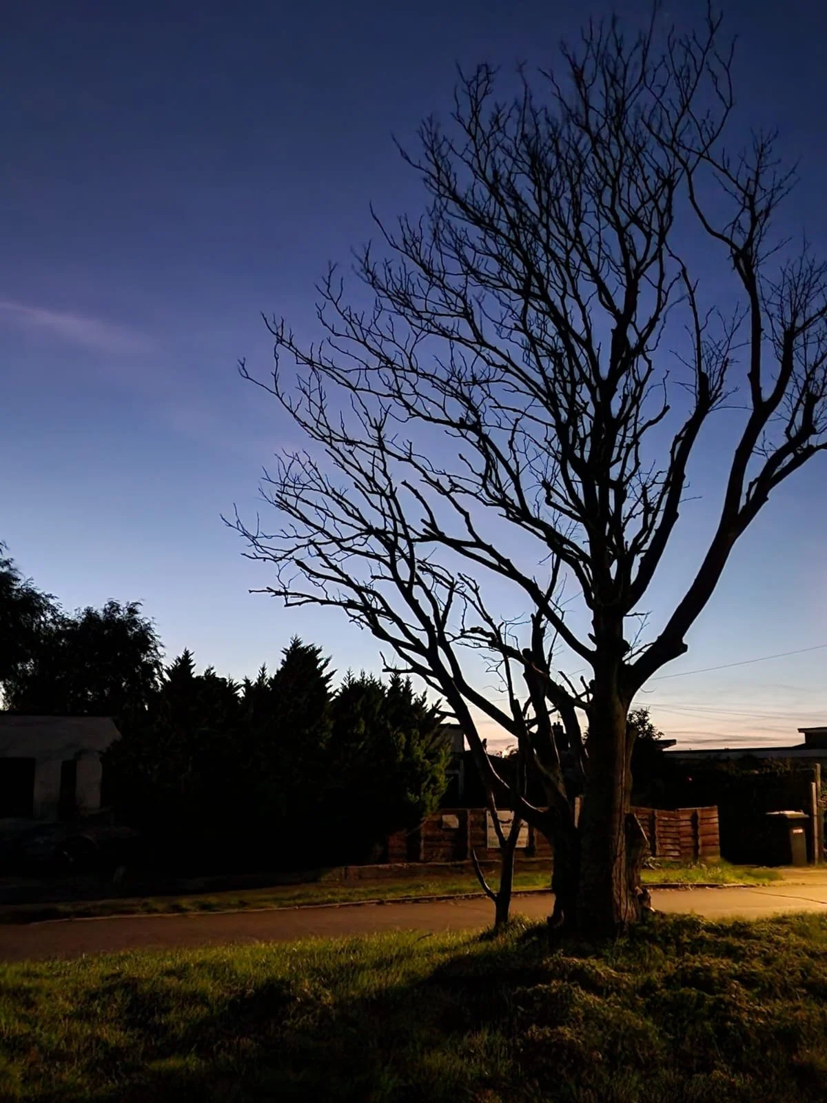 WhatsApp Image 2024-10-26 at 13.32.26.jpeg