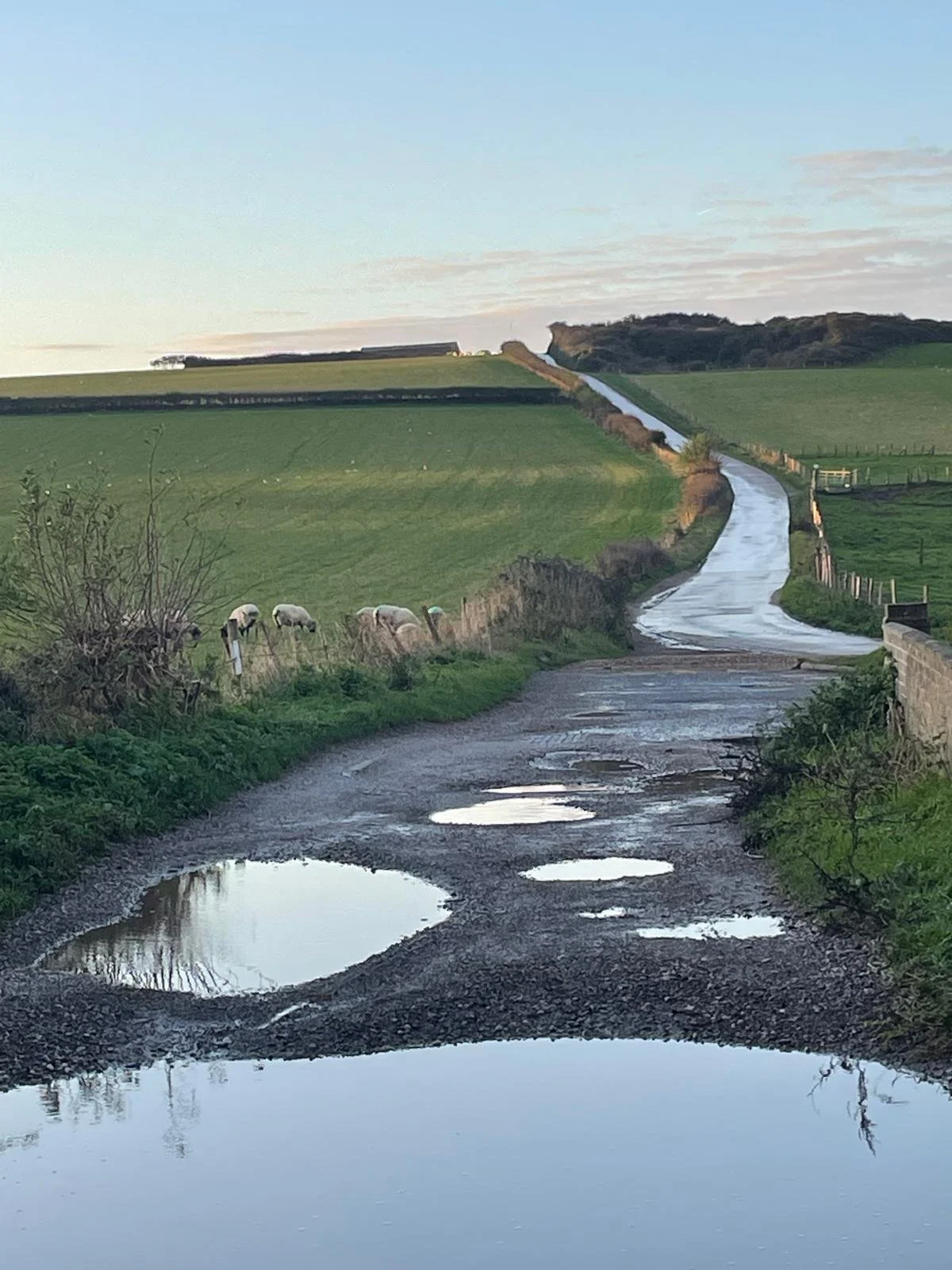 WhatsApp Image 2024-11-02 at 07.40.46 (4).jpeg