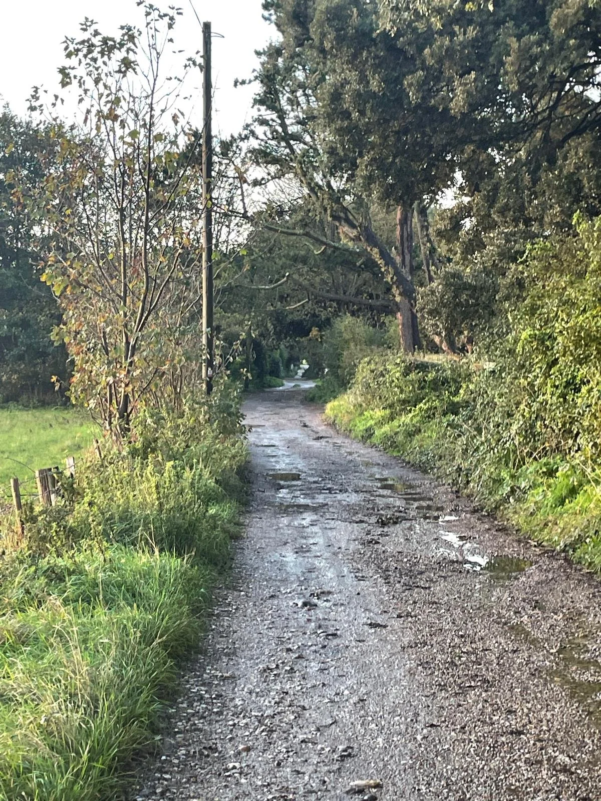 WhatsApp Image 2024-11-02 at 07.40.46 (5).jpeg