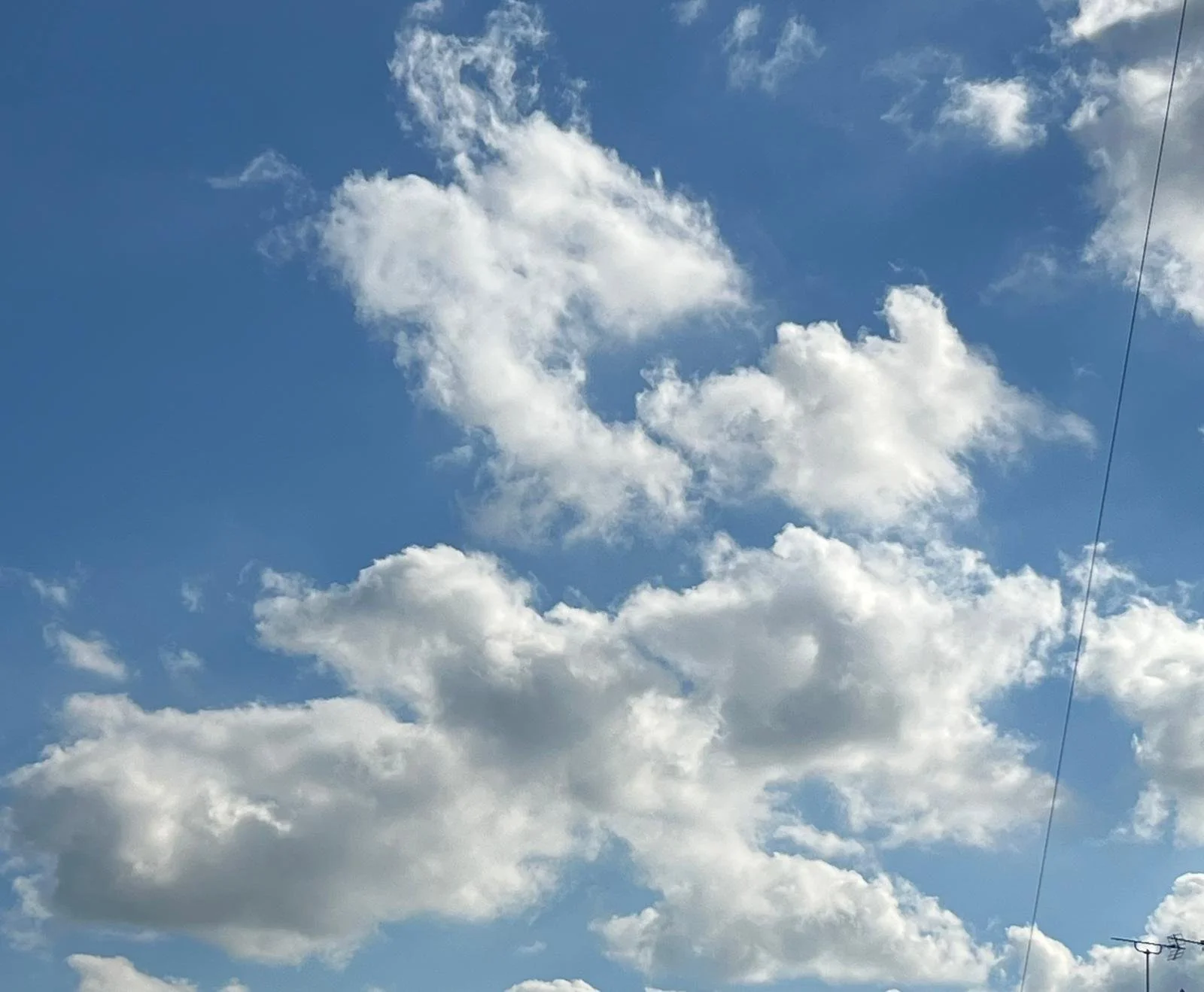 WhatsApp Image 2024-11-03 at 10.31.16 (5).jpeg