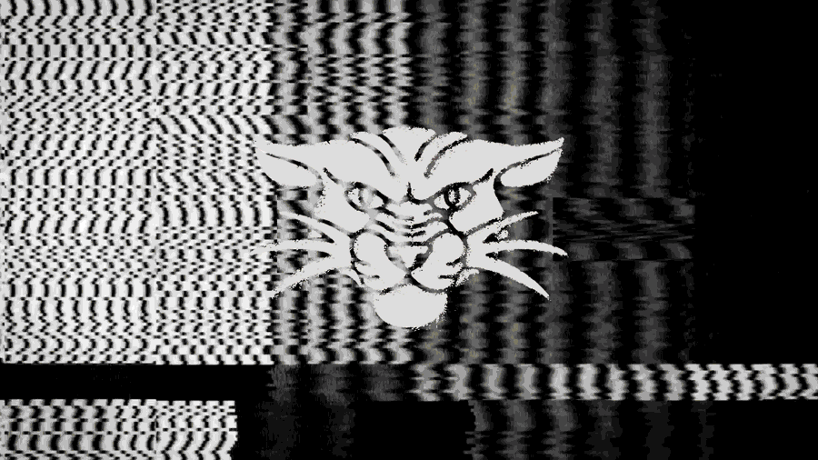 A New Chapter for Bad Idea Social Club