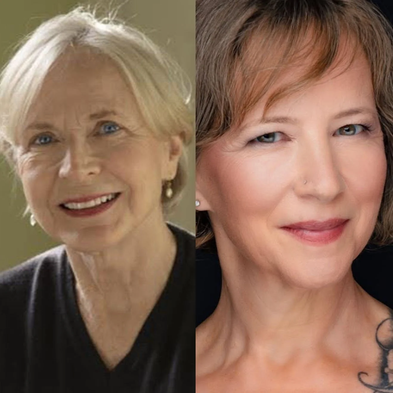 Virtual event, Burlington (MA) Public Library: In conversation with Therese Anne Fowler