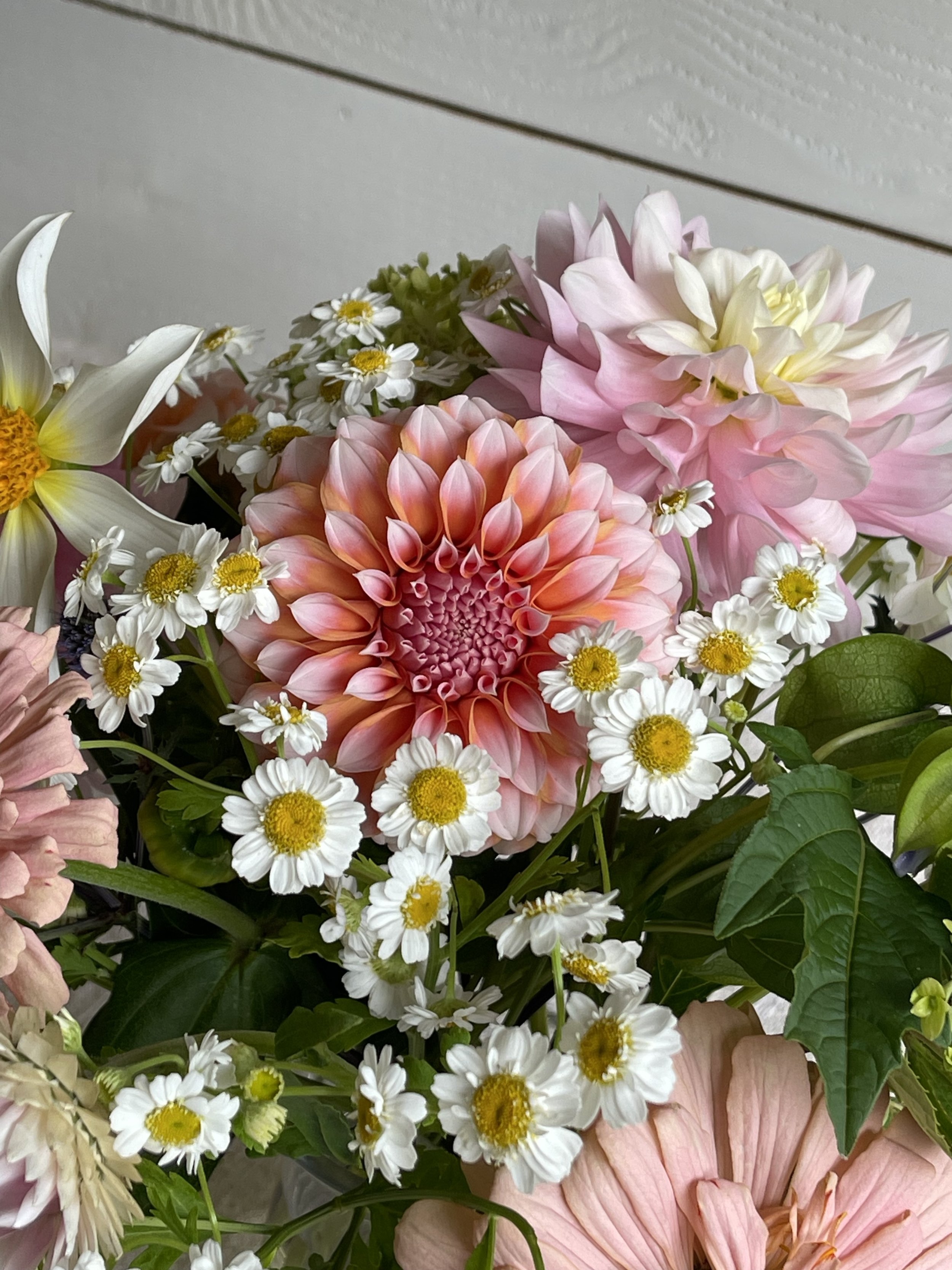 pastel petite detail.jpg