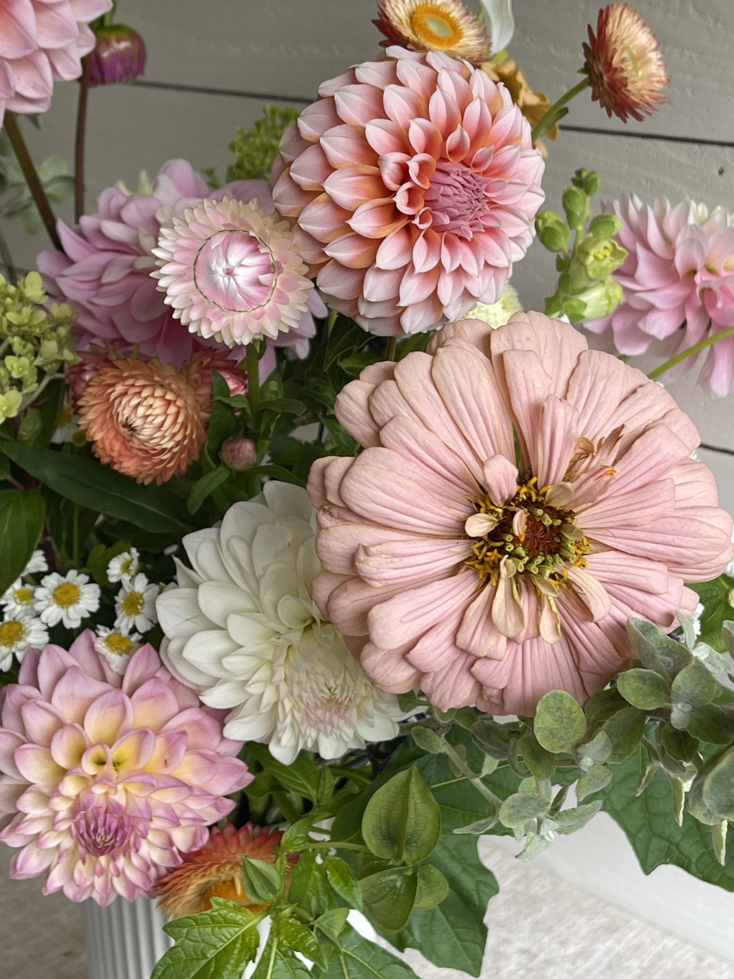 Pastel Grand Upclose.jpg
