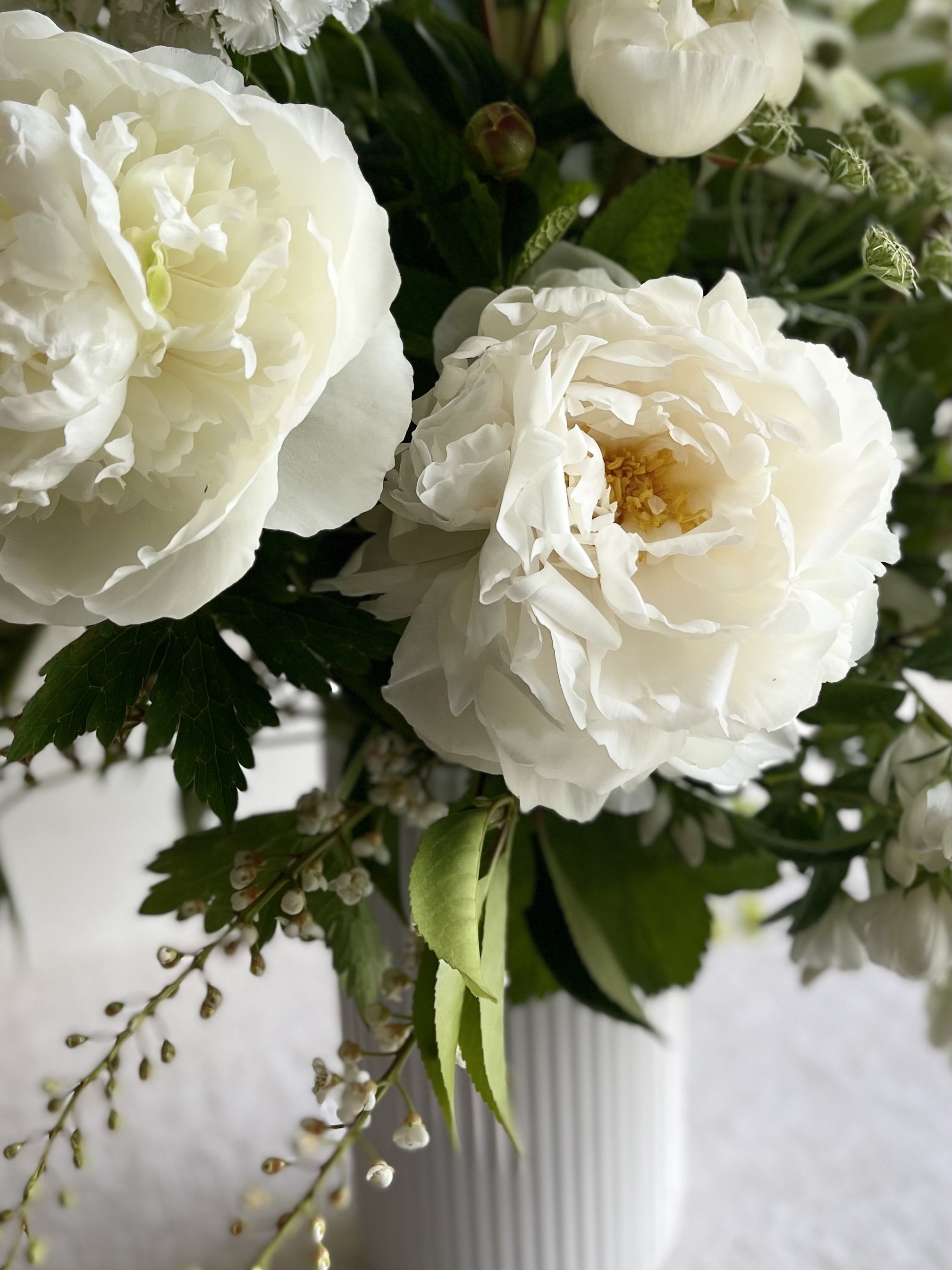 Upclose-Grand Gest- White and Green.jpg