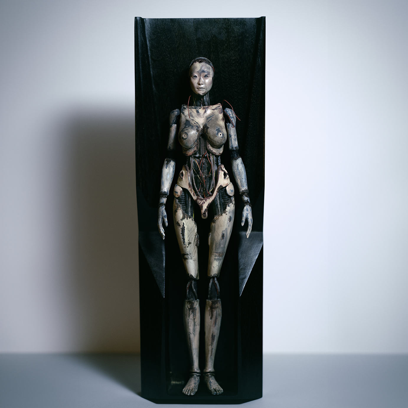 humanoid001aSMe.png