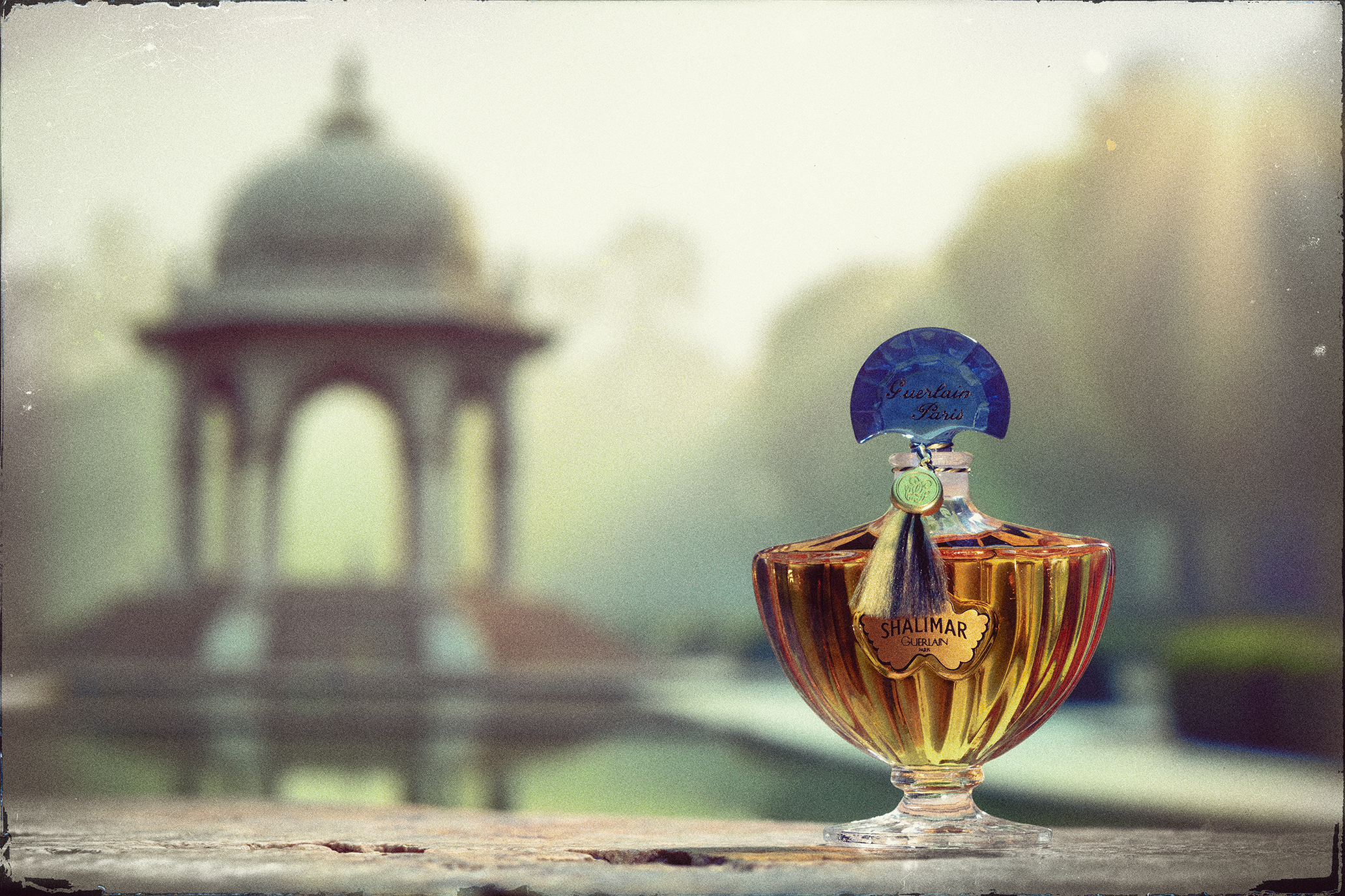 DSC_2035-web.png