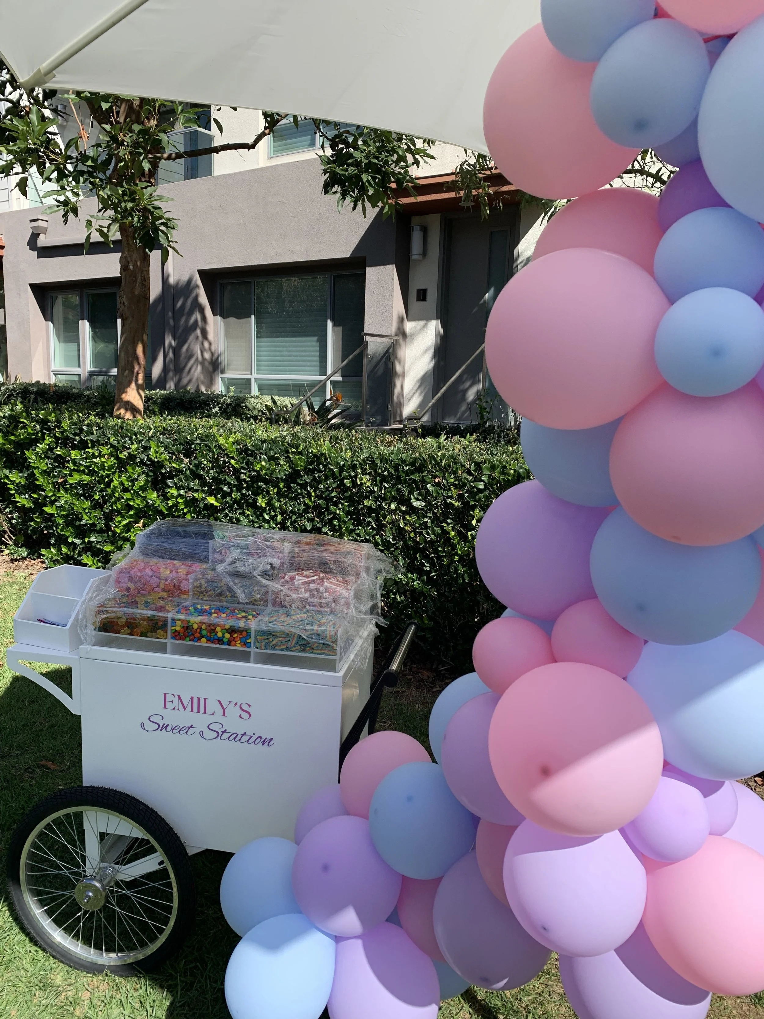 Emily Picnic Bday 3.jpeg