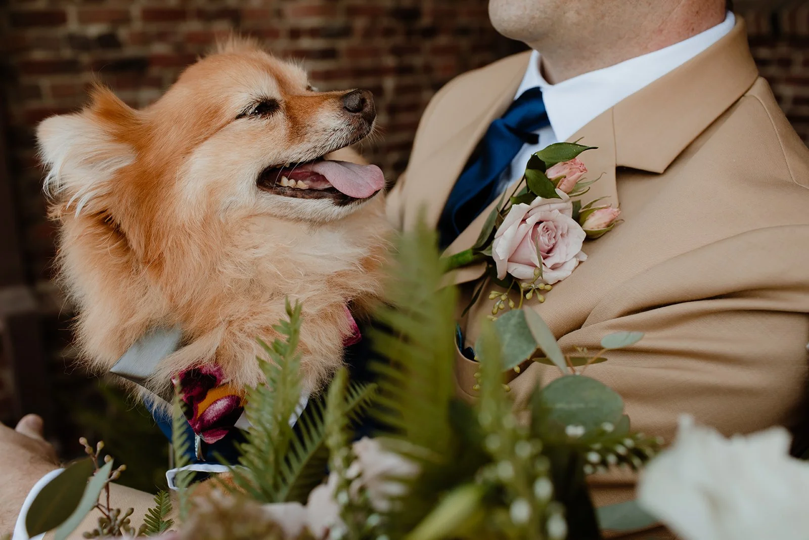 Amy and Andrew Wedding - 2 jpg.jpg