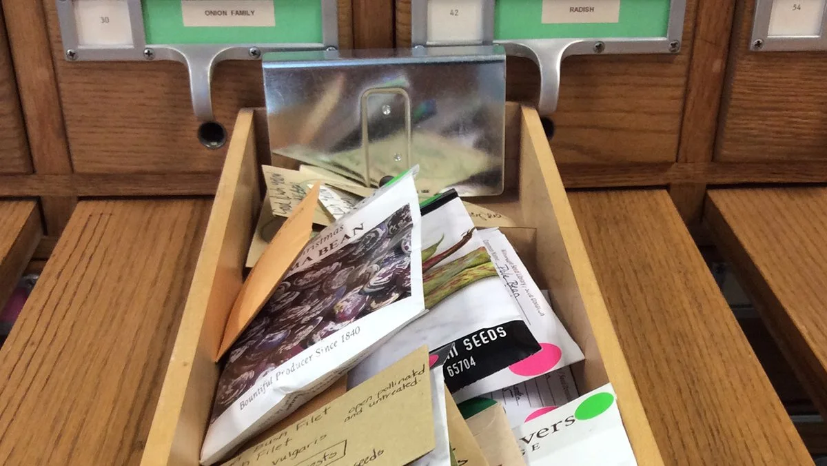 Packets of seeds on display in a library card file drawer.