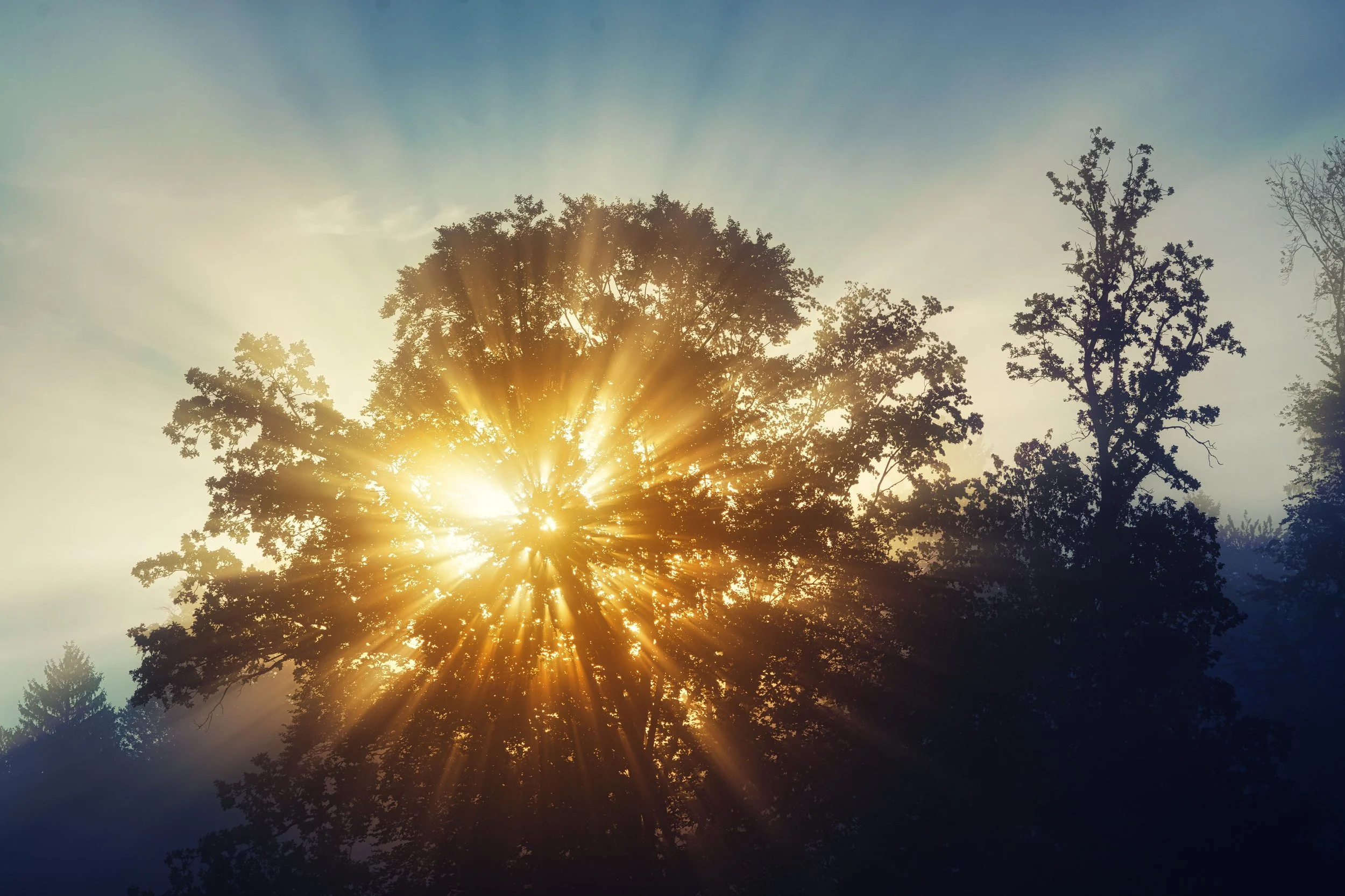 On Seeing the Light in the Darkness