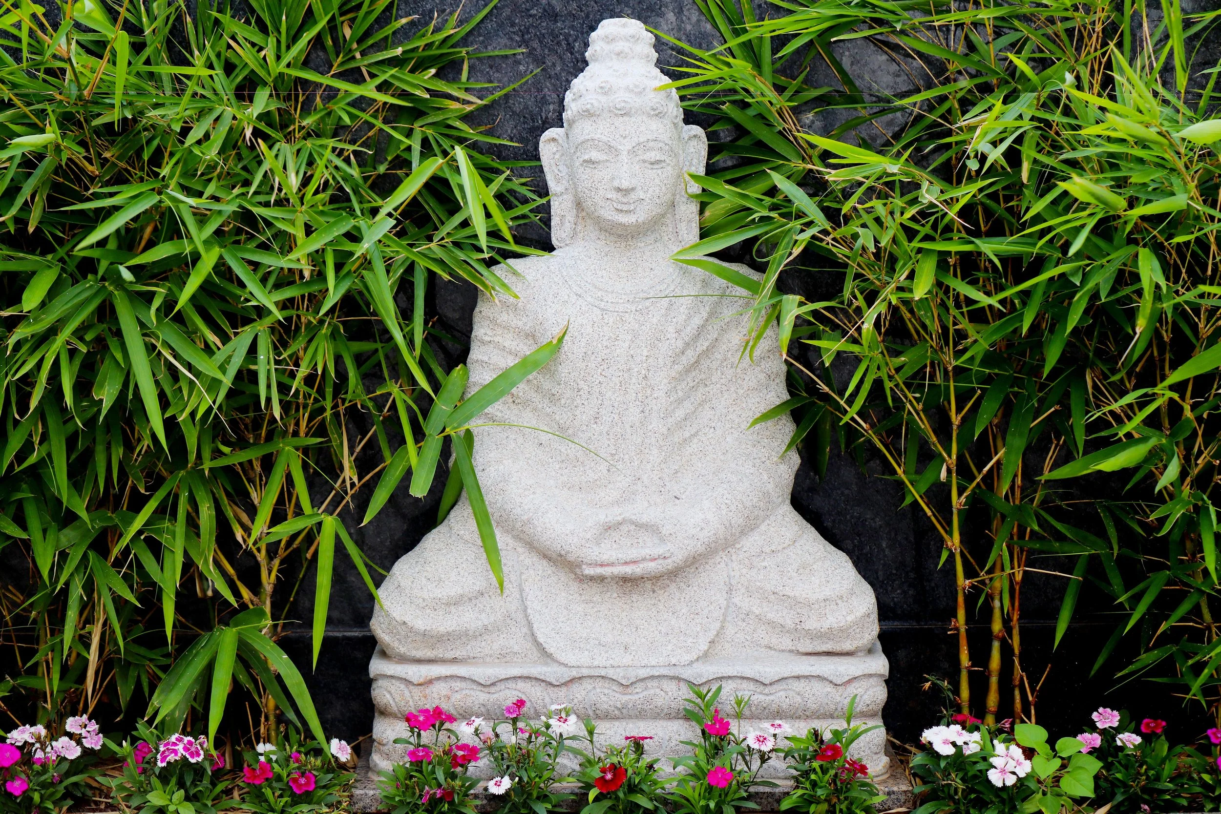 Letting Go of Ego