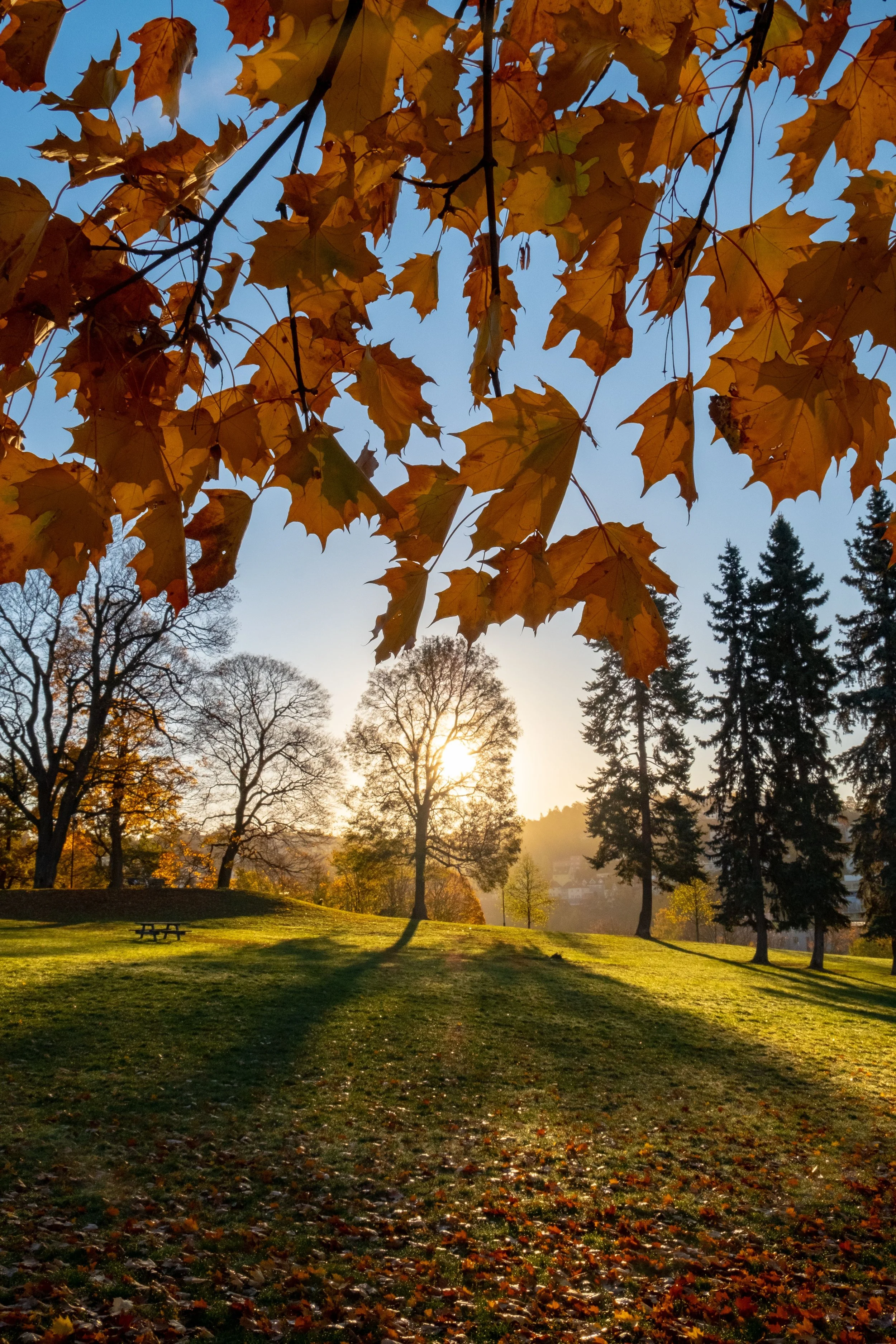 Manifestation and the Magic of Autumn