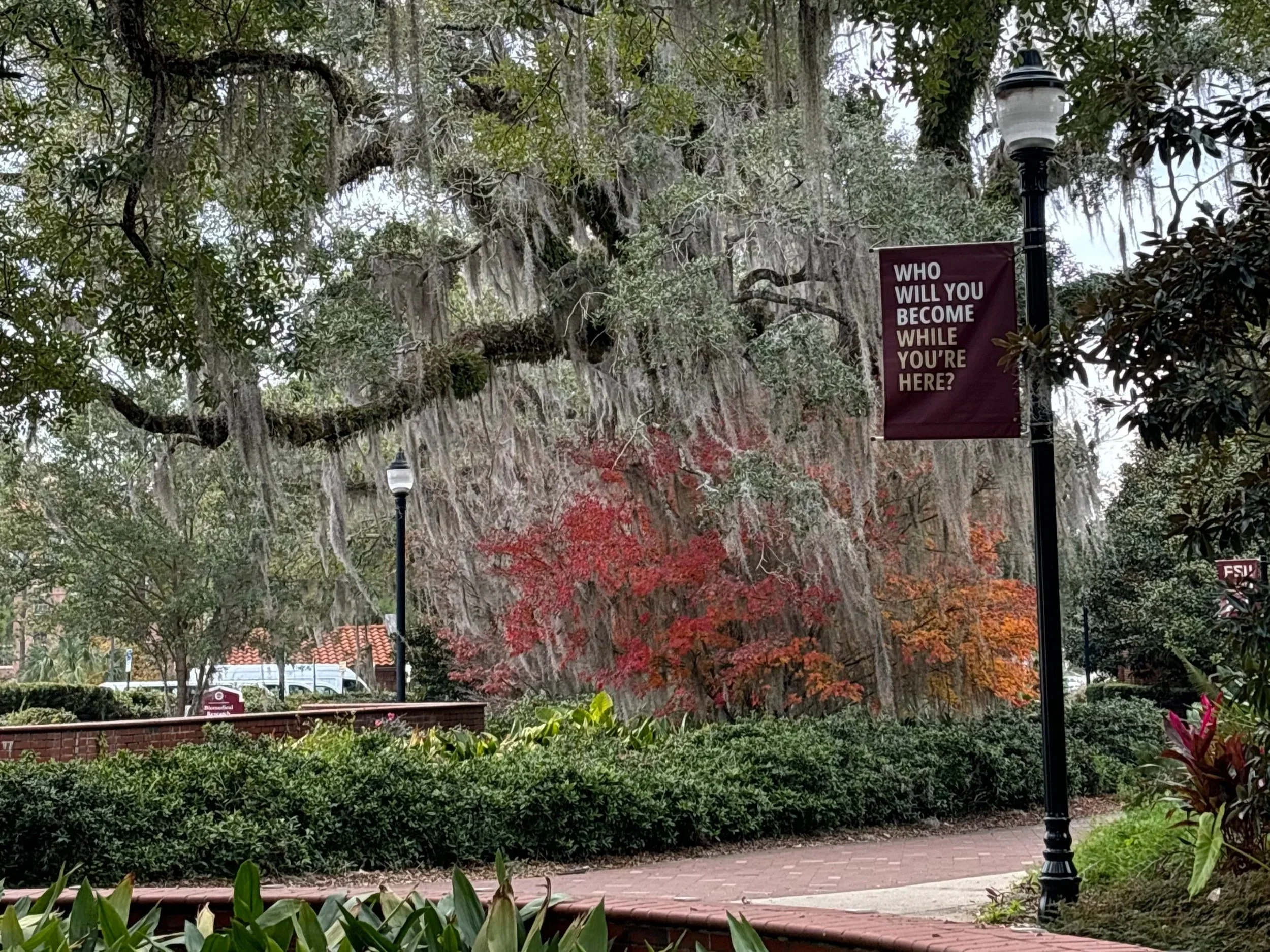 The University