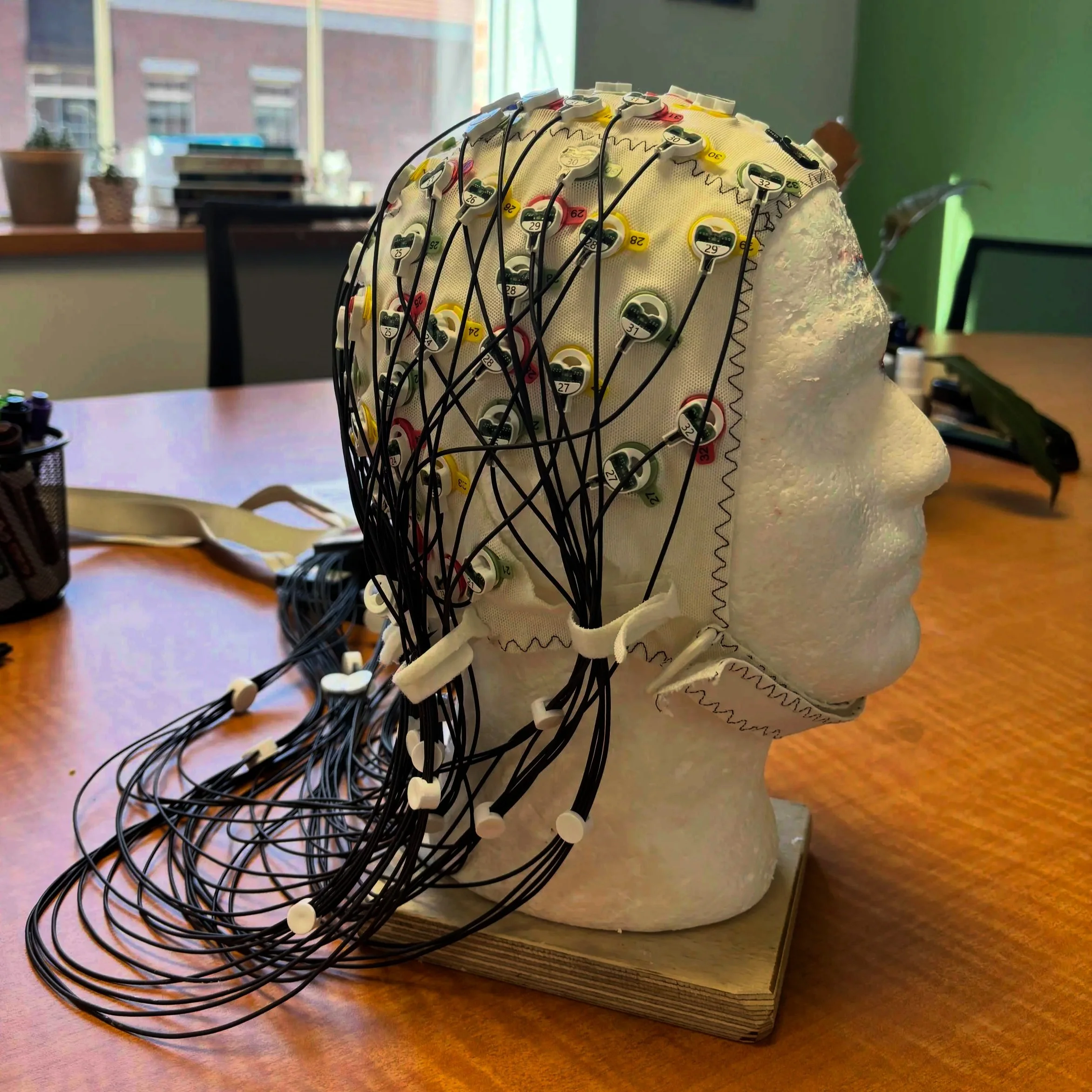 One of our many EEG caps is ready for a session!