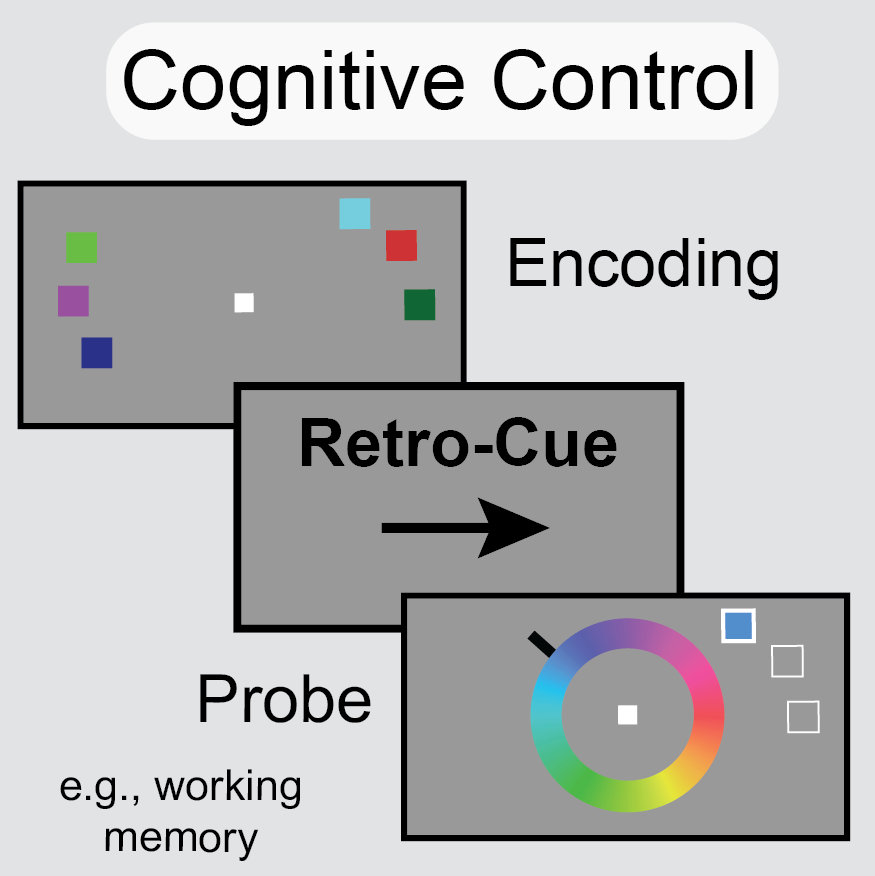CognitiveControl.png