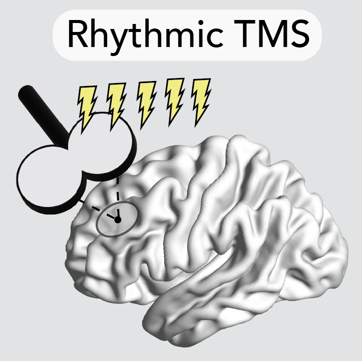 RhythmicTMS.png