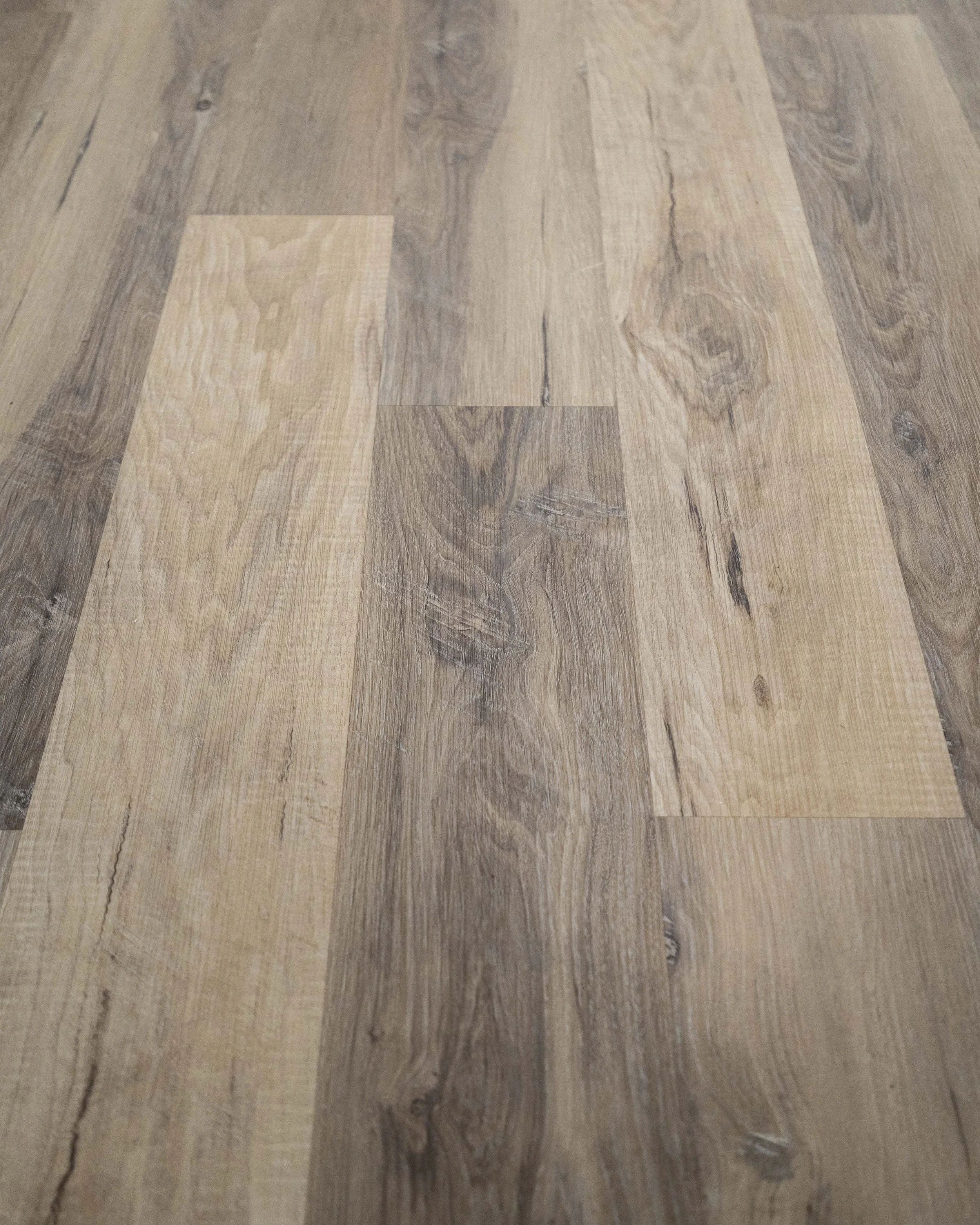 P019_7084 CLARK (3).jpg