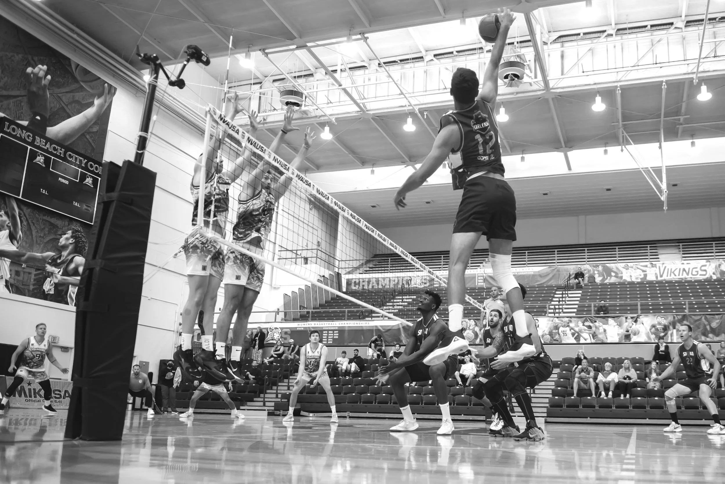 SD Wild Professional Volleyball