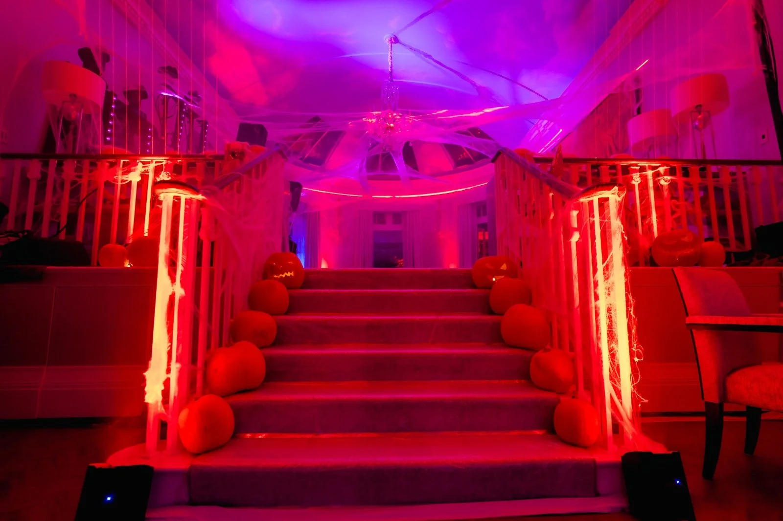 WhatsApp Image 2023-11-21 at 1.27.42 PM (8).jpeg