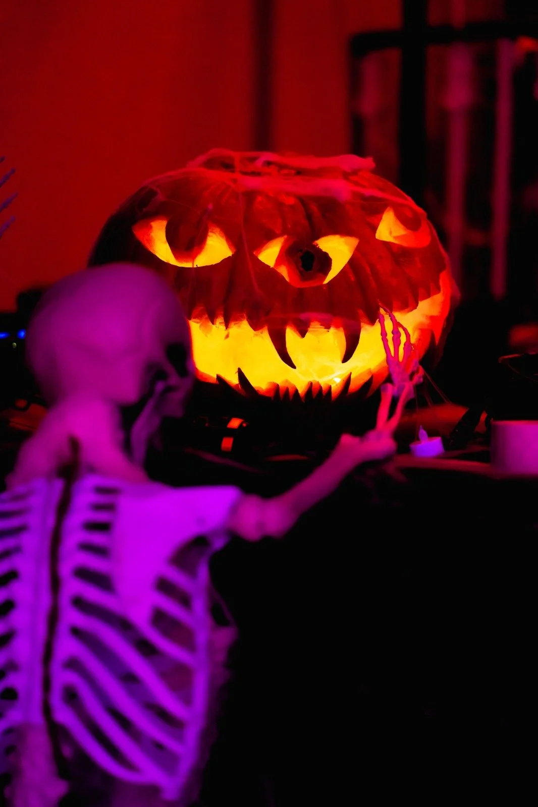 WhatsApp Image 2023-11-21 at 1.27.42 PM (6).jpeg