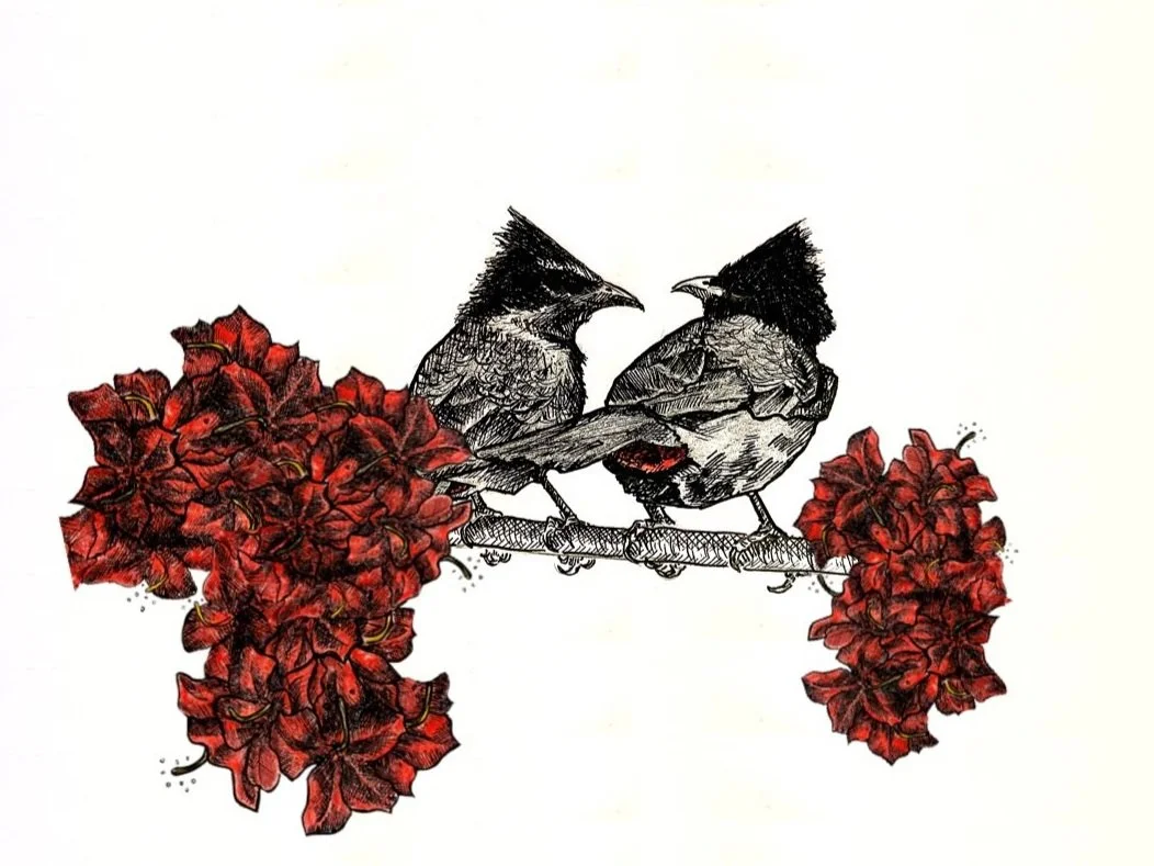 Digital edit of ink and color pencil drawing 2022