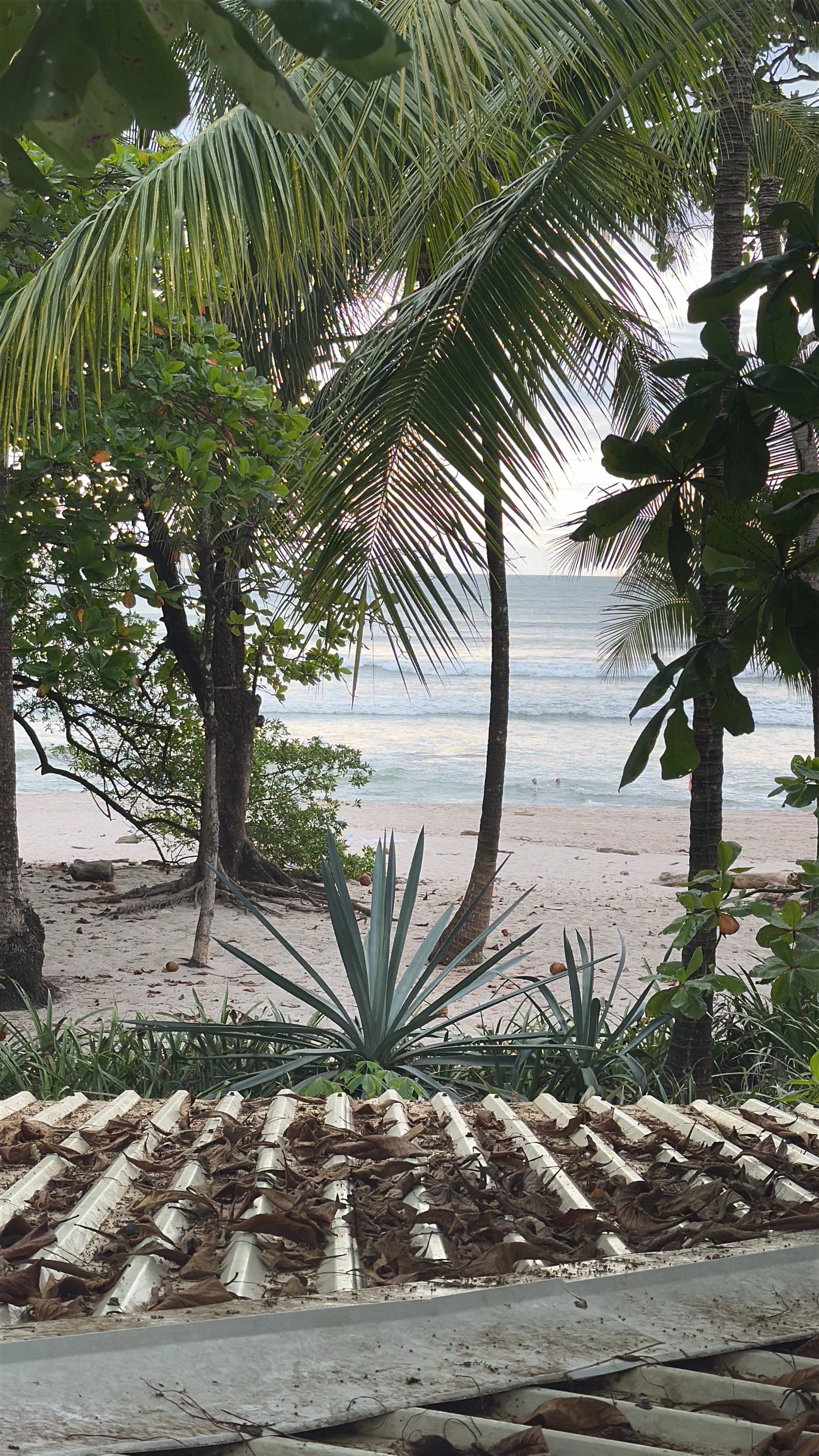 Beyond the Blueprint: 4 Hidden Factors in Your Property Search