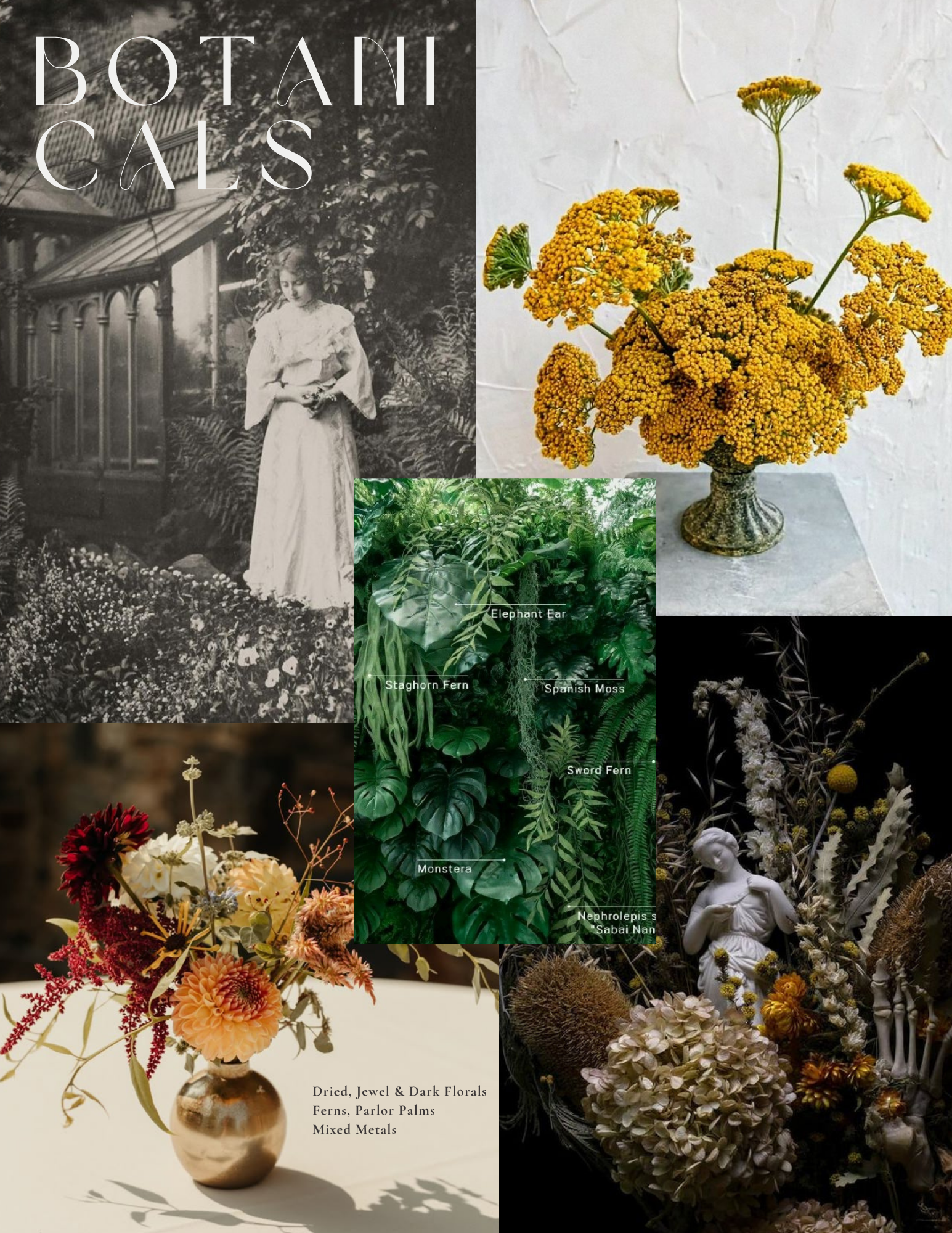 Botanicals.png