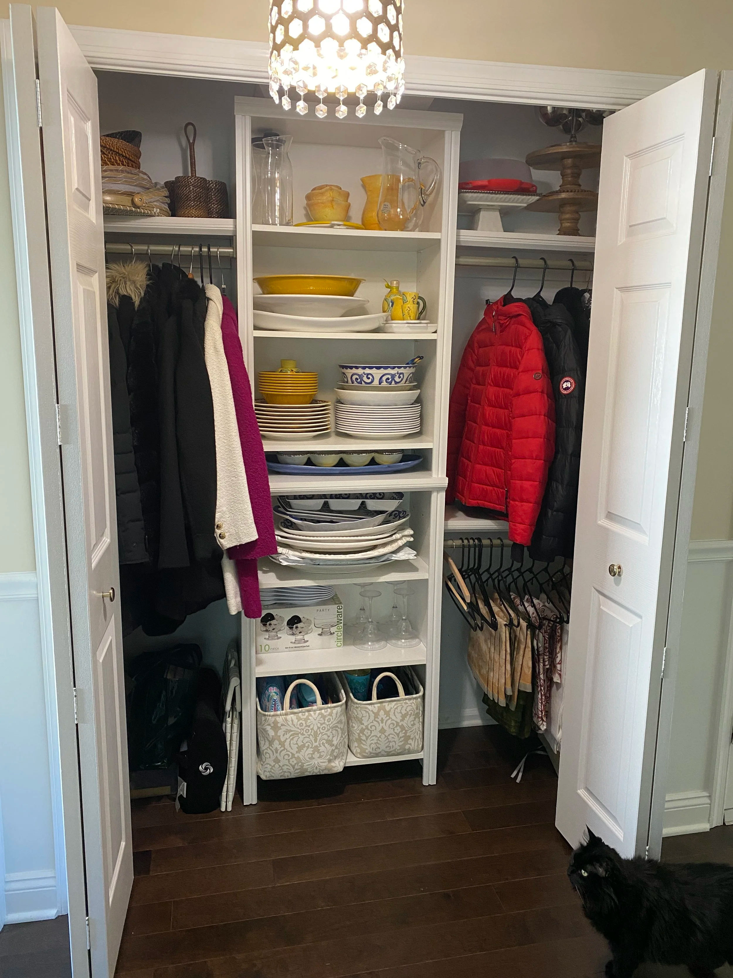 The Host's Continuity