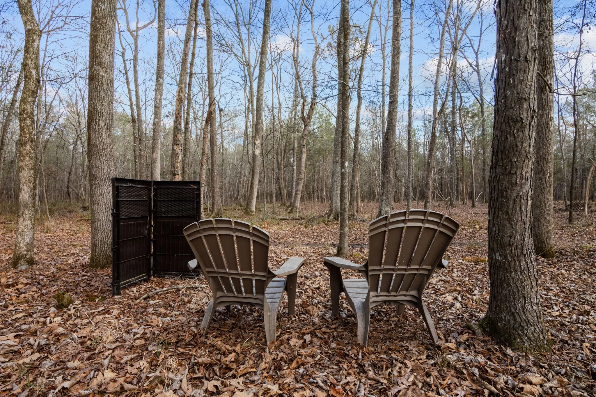 8814 Partridge Run Forest Life.jpg