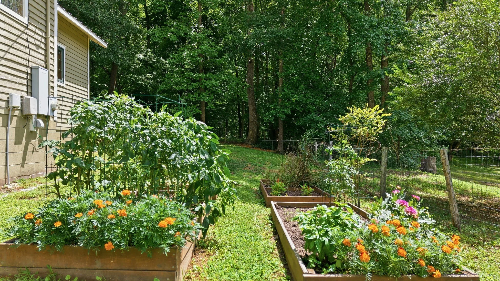 Raised Garden Beds