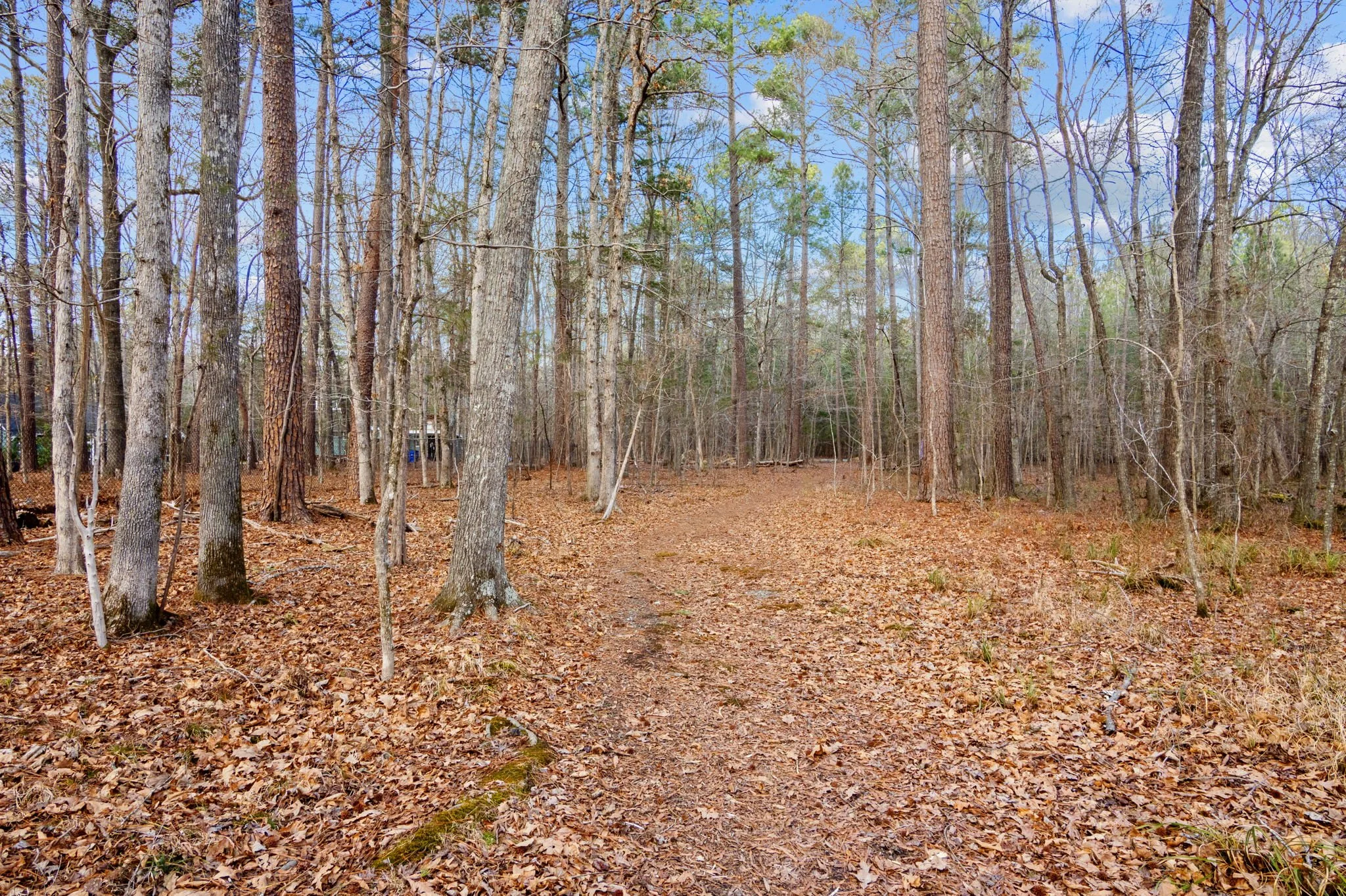 8814 Partridge Run The Trails (2).jpg