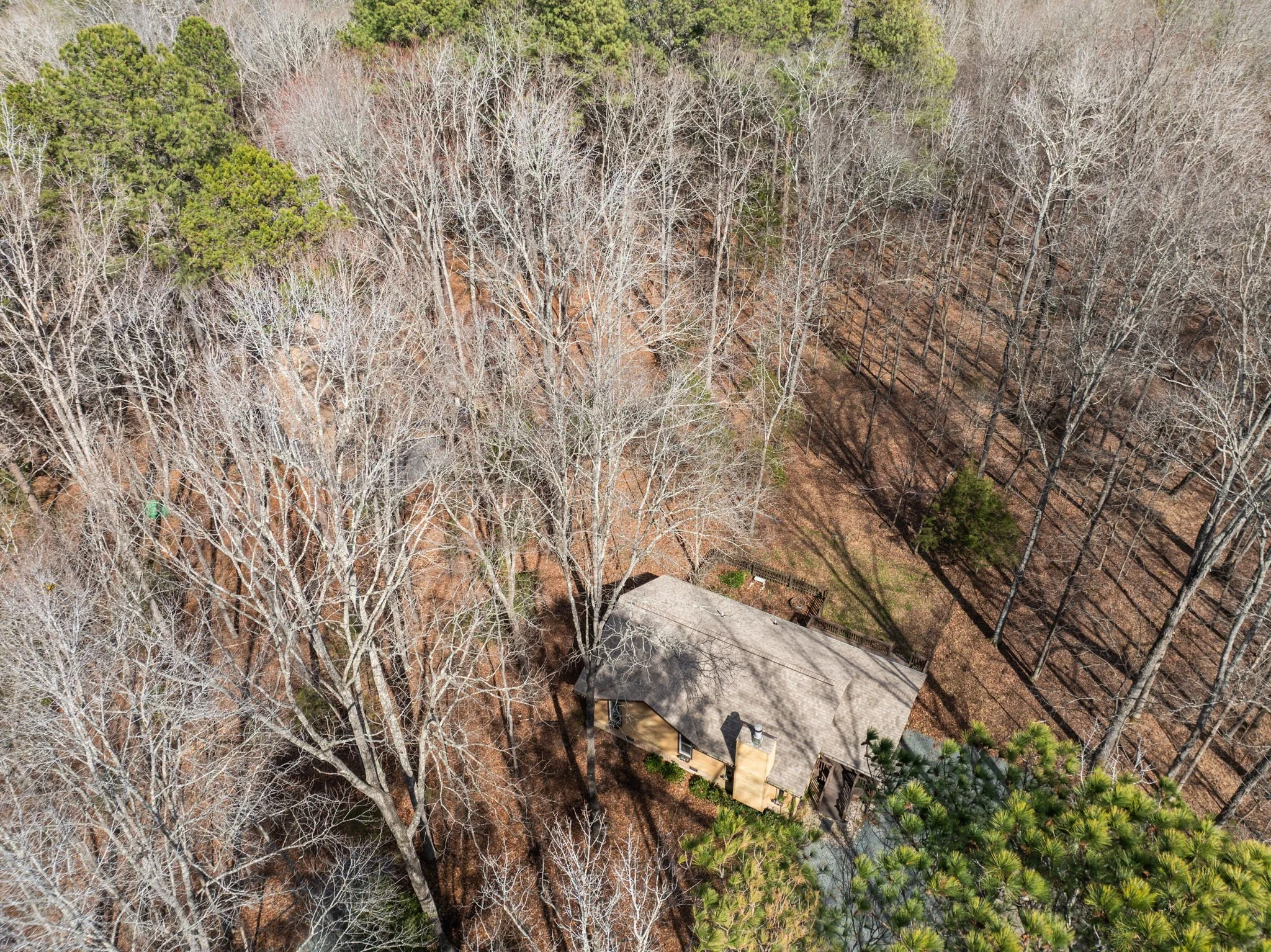 8814 Partridge Run Roof From Above.jpg