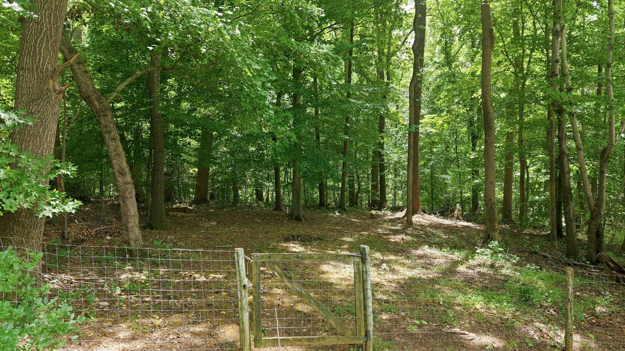 Partial Fence, the yard goes into the woods