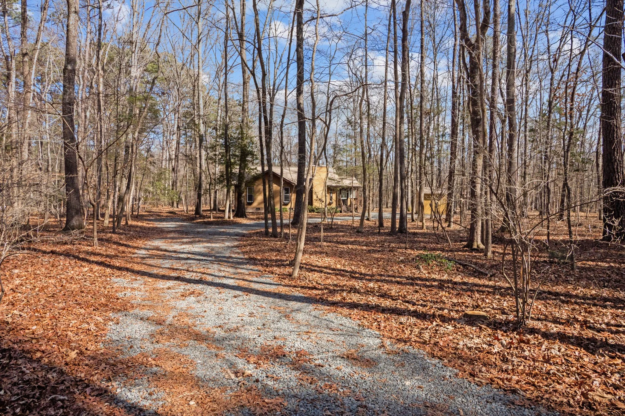 8814 Partridge Run In the Woods.jpg