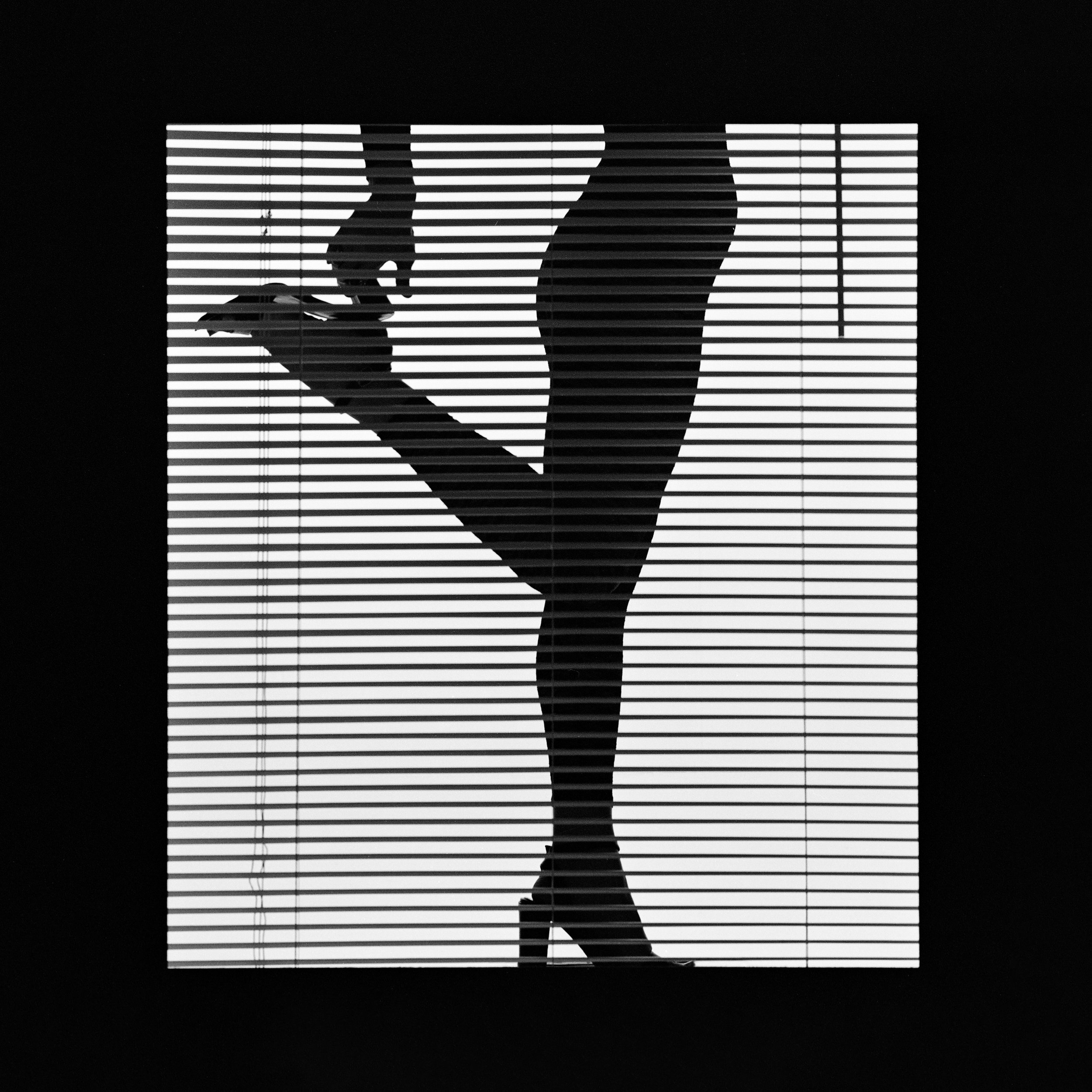 Legs Behind Blinds.jpg