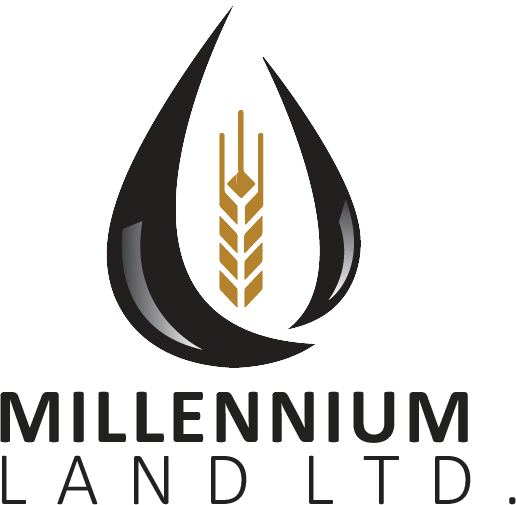 Millennium-Land-logo.png