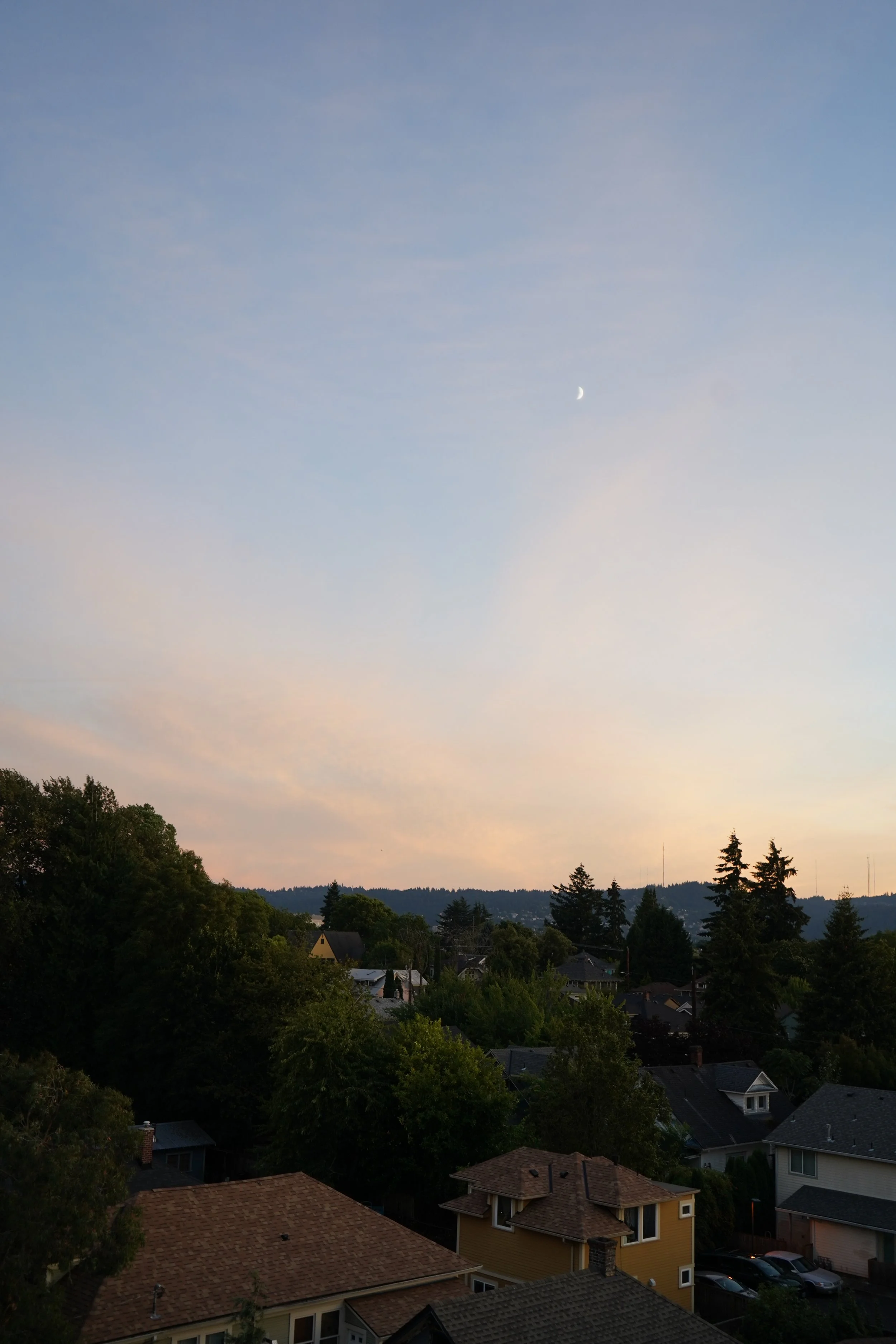 IMG_4980.JPG