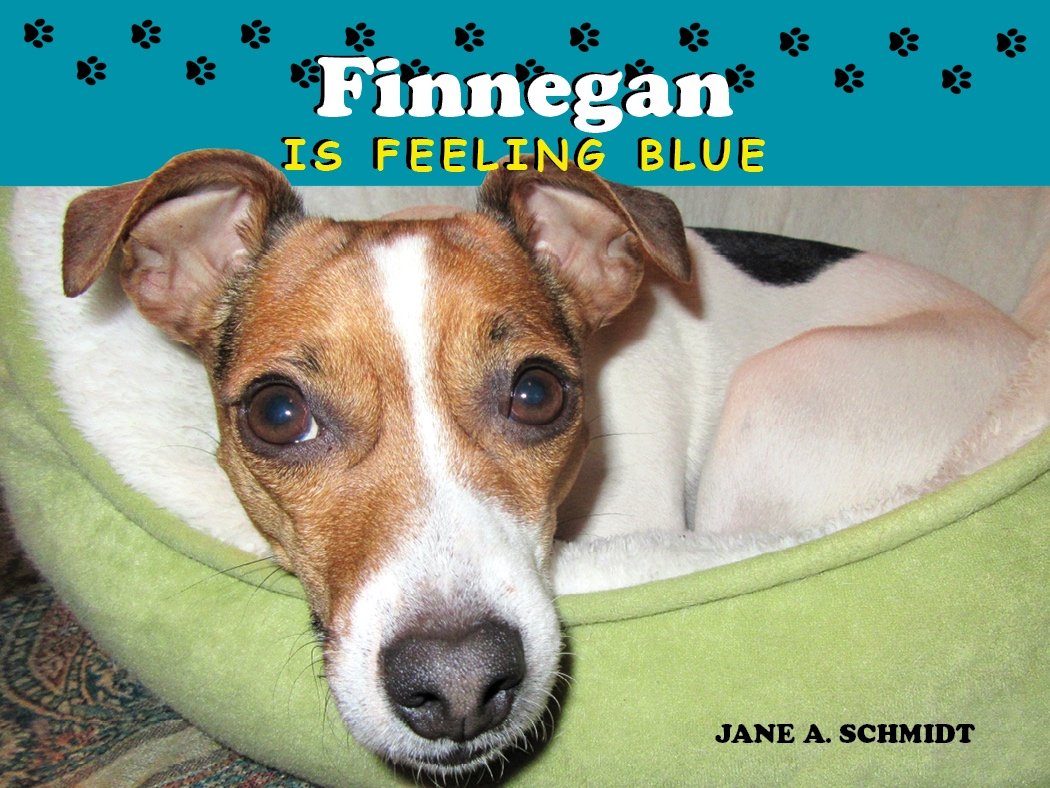 Finnegan+Is+Feeling+Blue_FC+%281%29.jpg